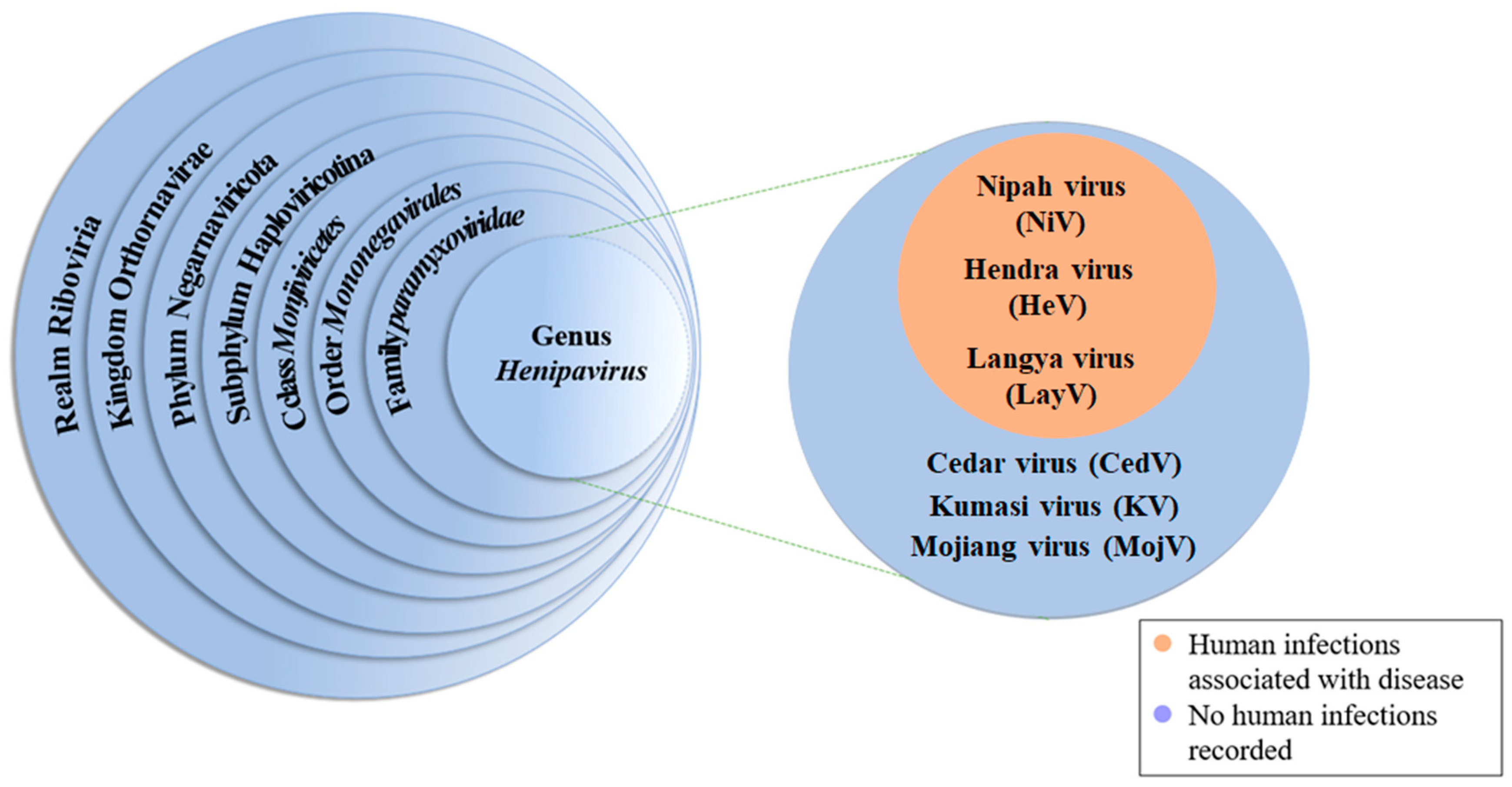 Vaccines 13 00608 g001