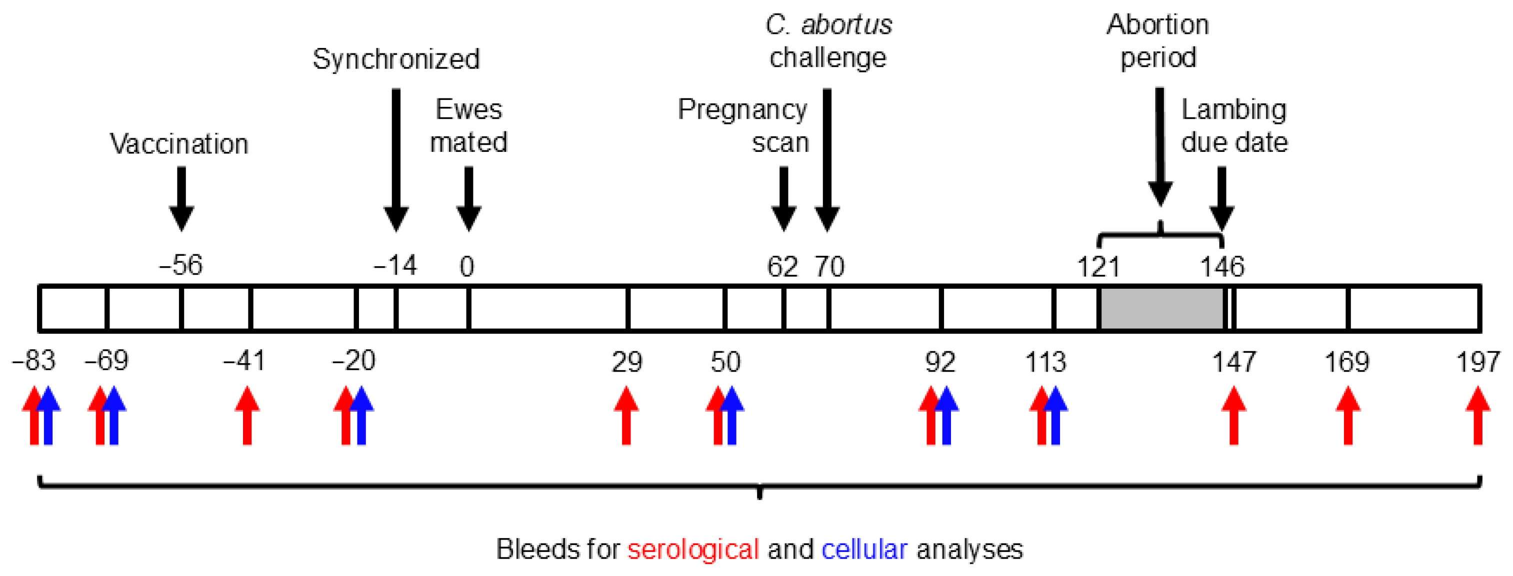 Vaccines 13 00609 g001