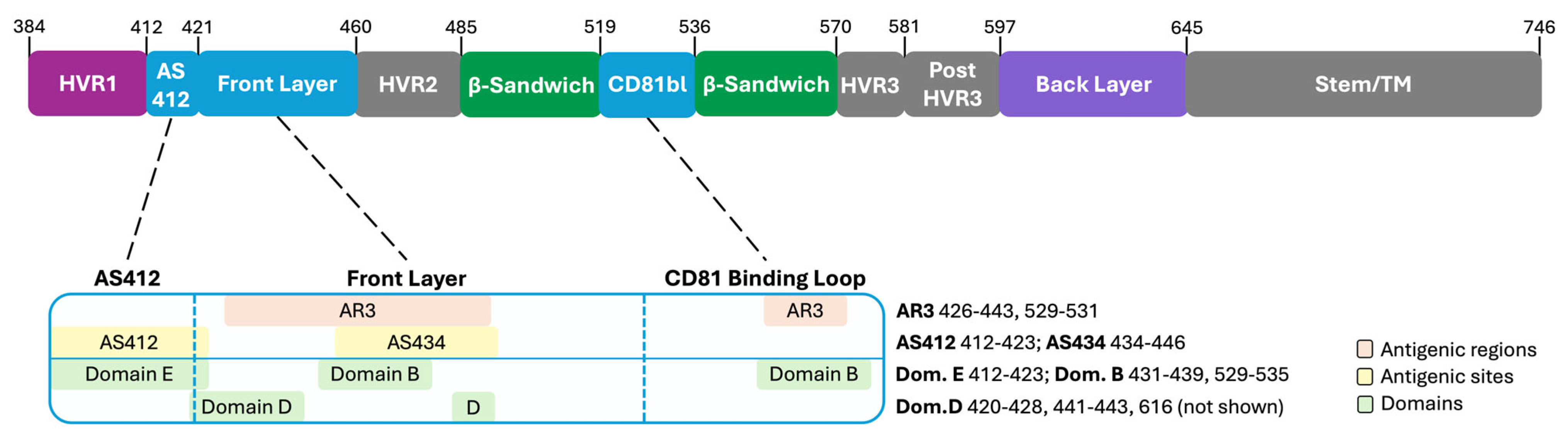 Vaccines 13 00612 g001