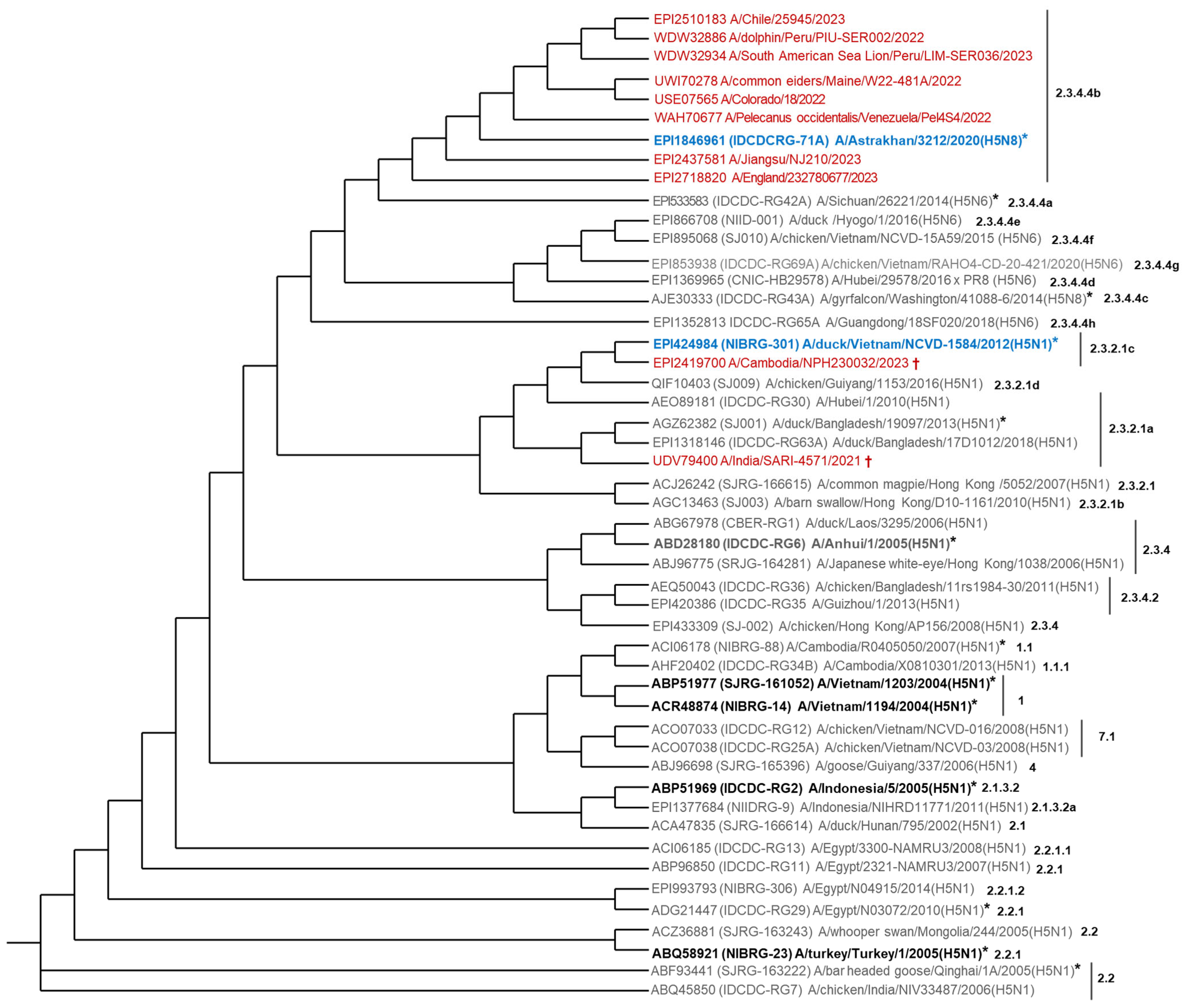 Vaccines 13 00620 g002