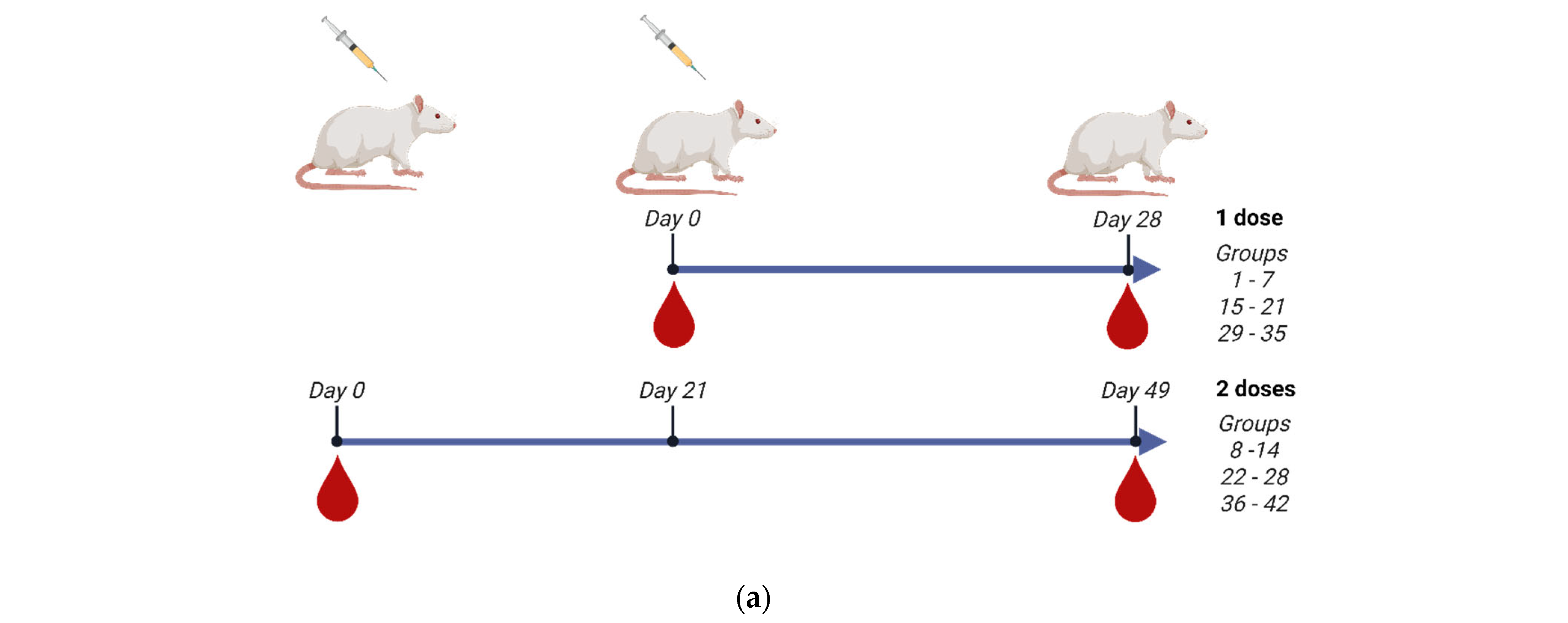 Vaccines 13 00620 g003a