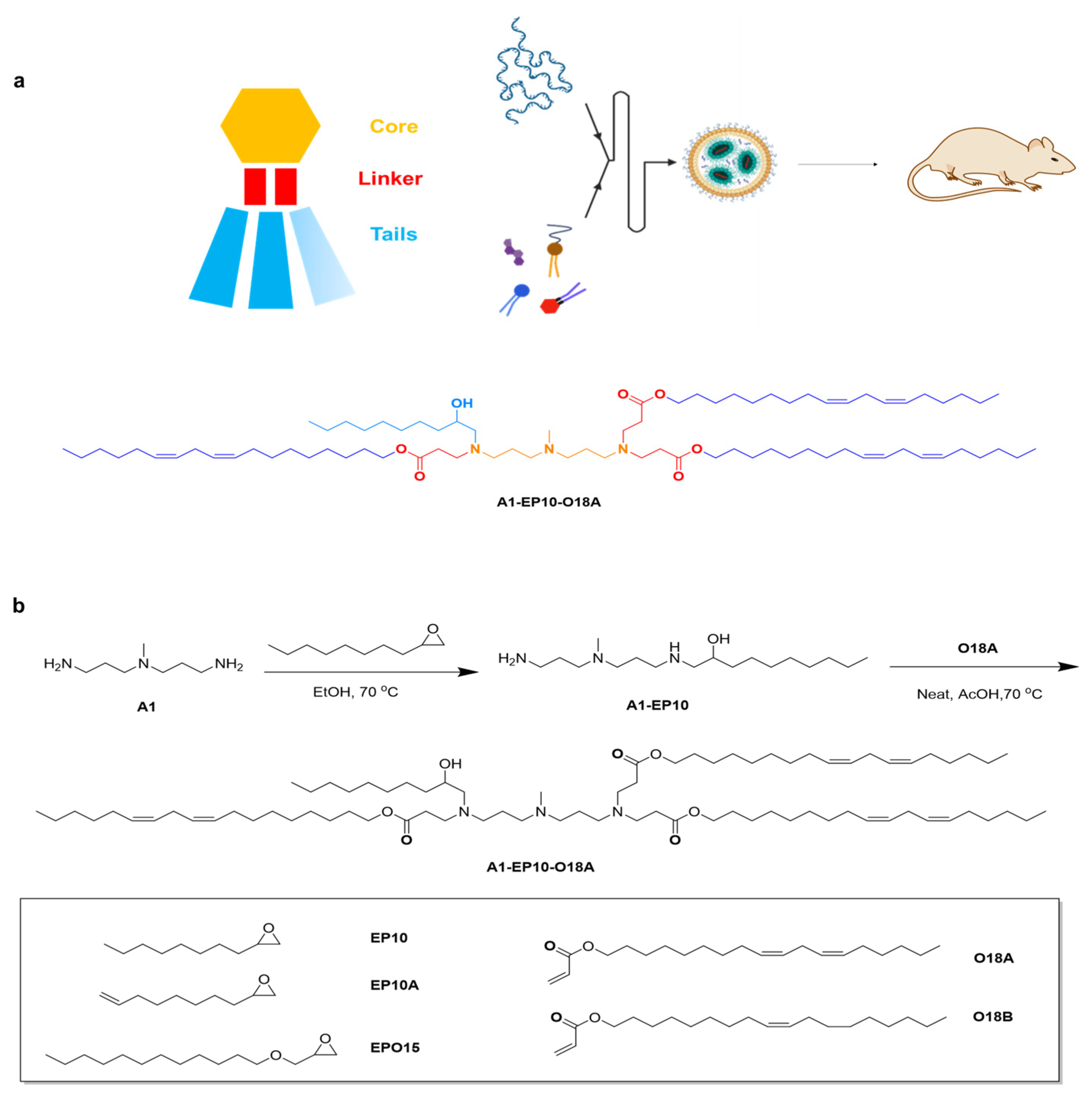 Vaccines 13 00625 g001a