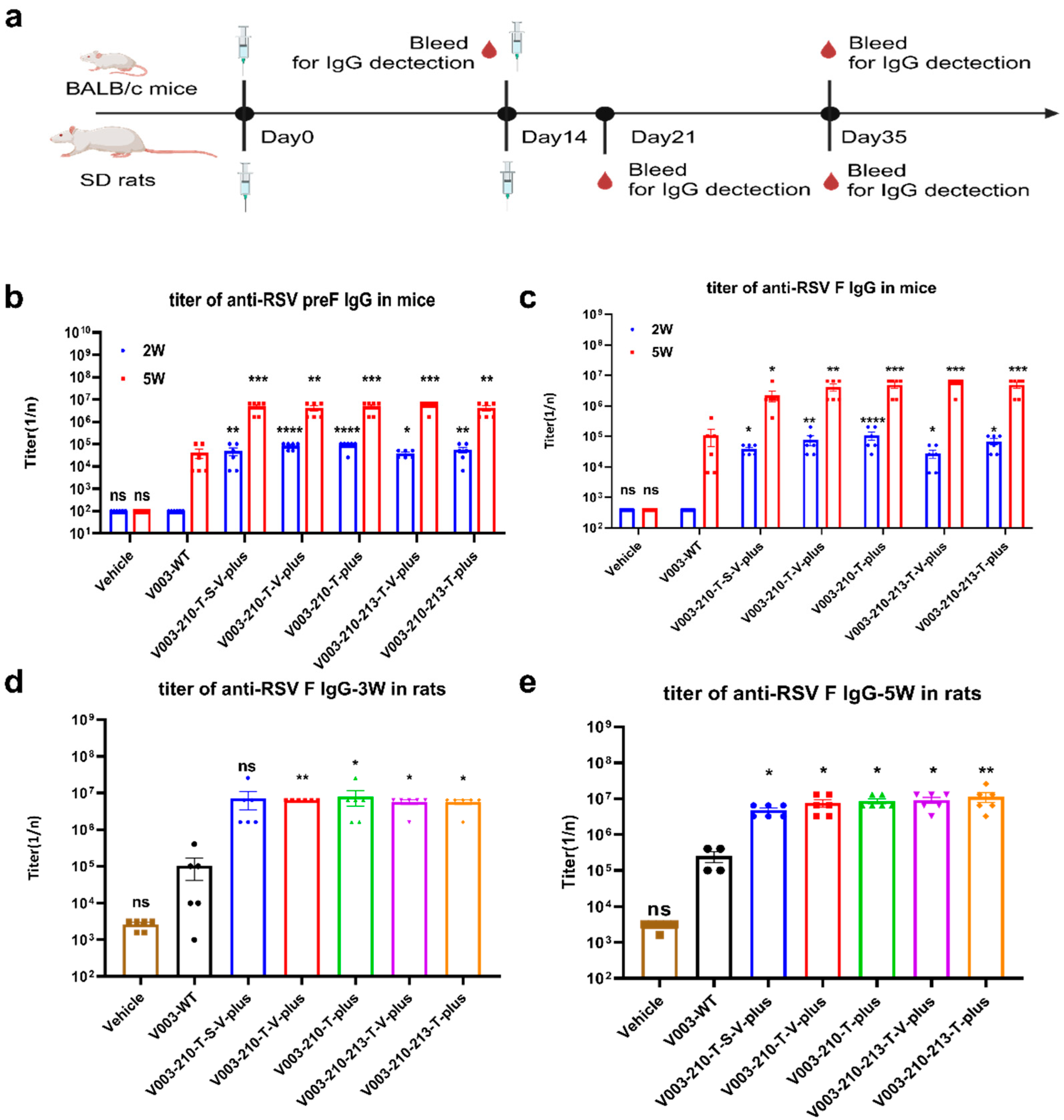 Vaccines 13 00625 g003