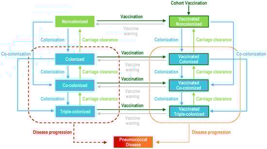 Vaccines 13 00627 g0a1