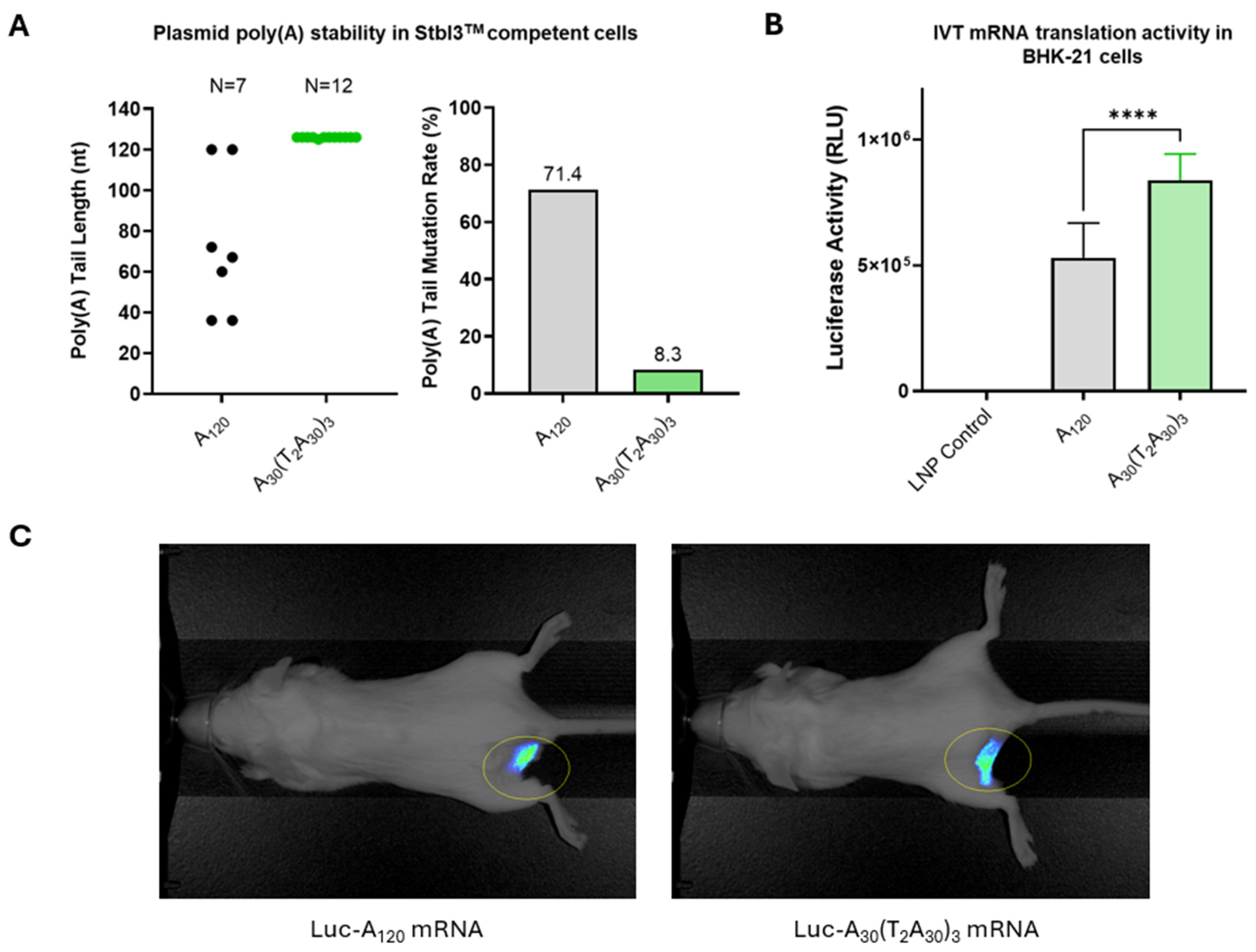 Vaccines 13 00628 g002