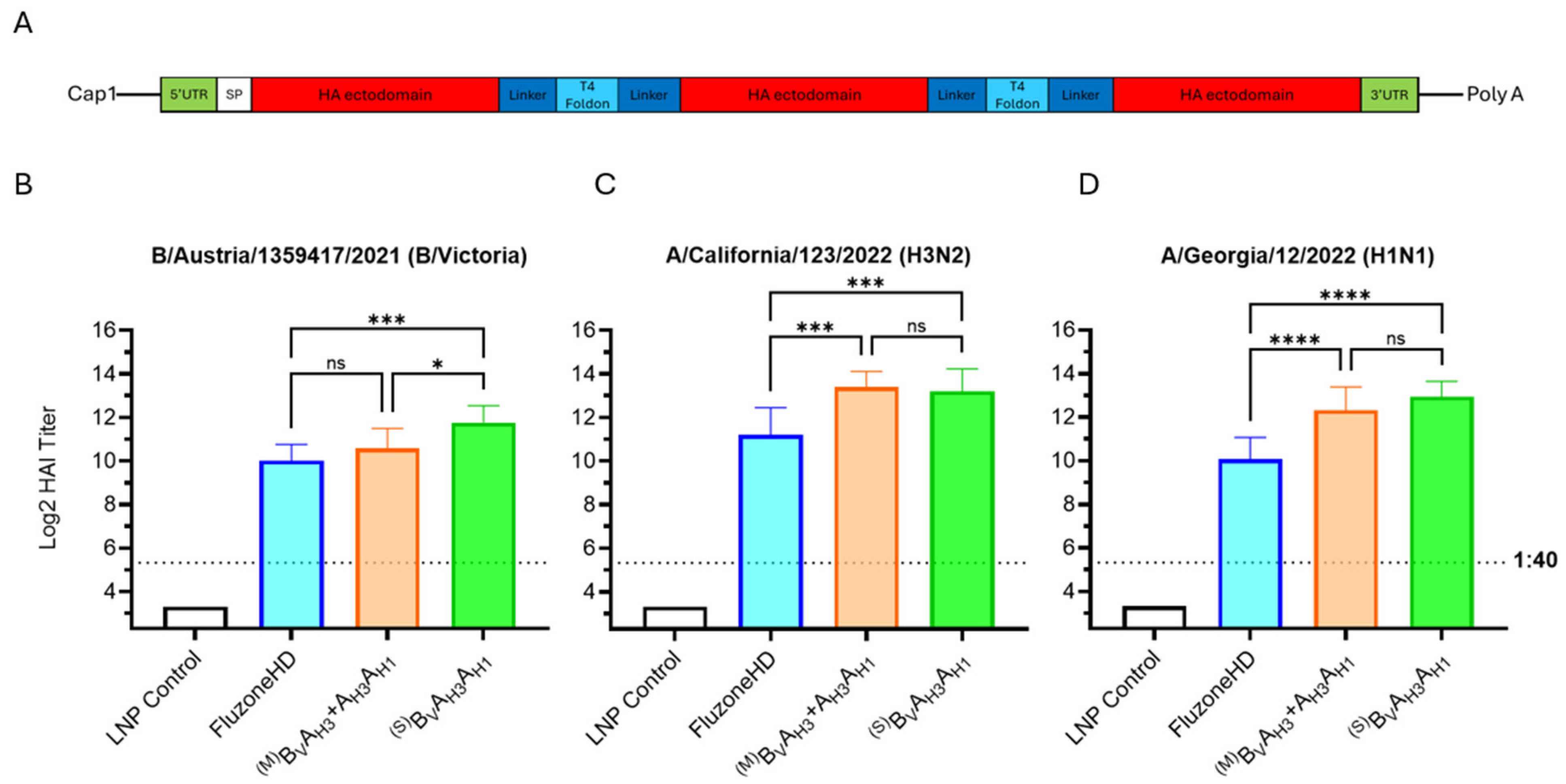 Vaccines 13 00628 g005