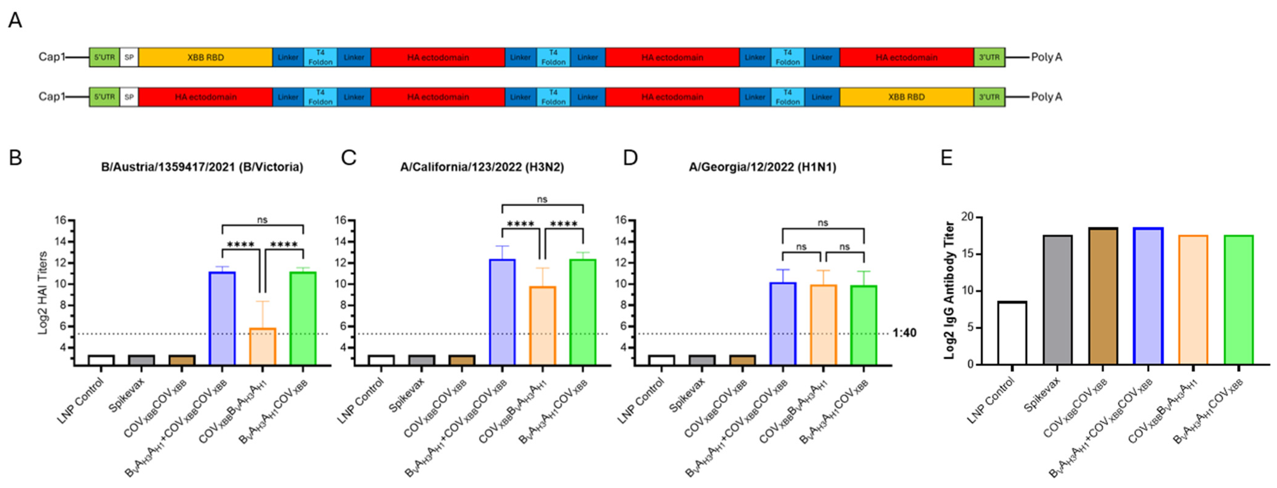 Vaccines 13 00628 g007