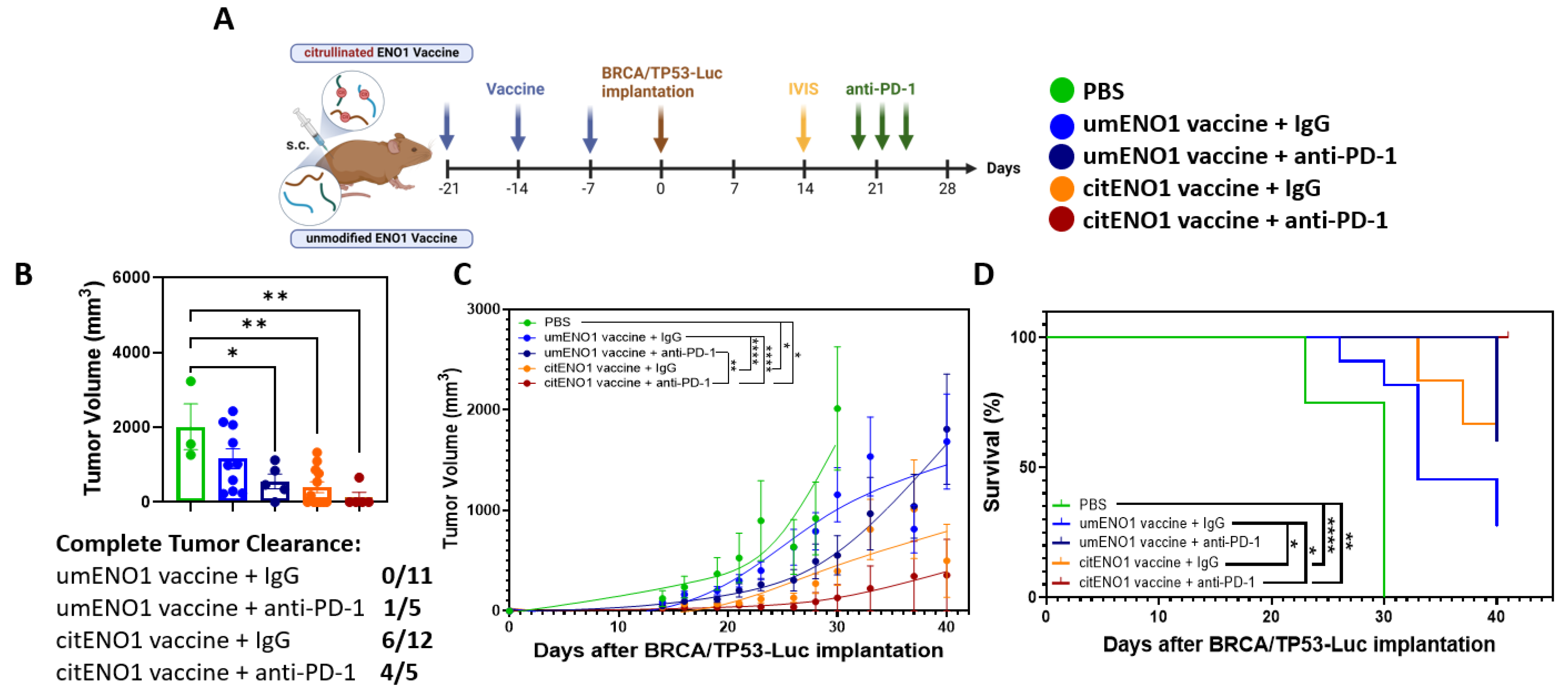 Vaccines 13 00629 g005