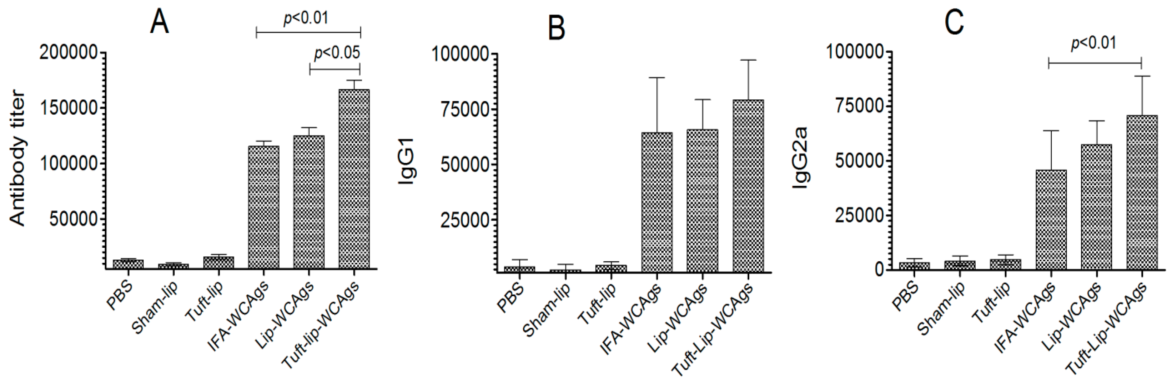 Vaccines 13 00630 g008