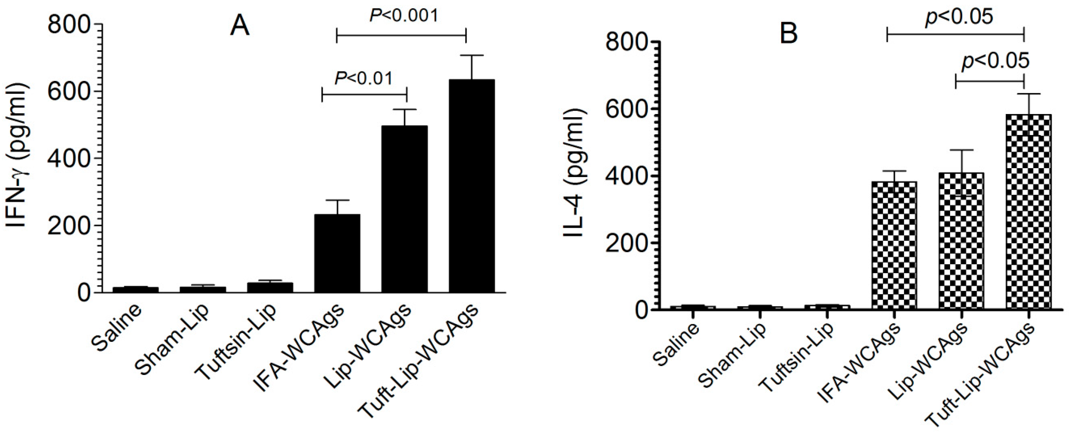 Vaccines 13 00630 g010