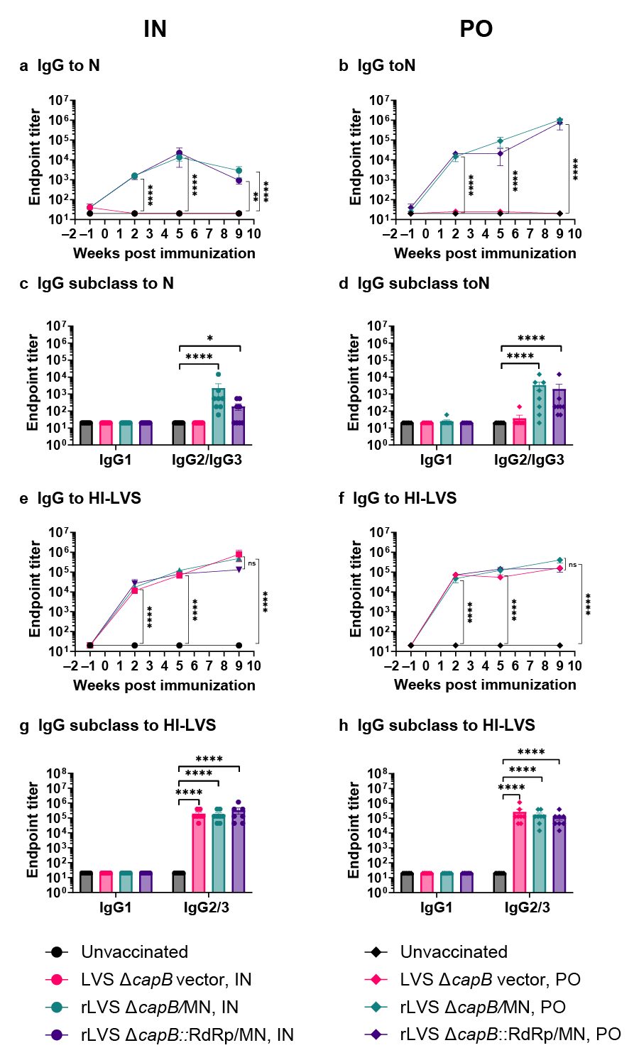 Vaccines 13 00633 g005