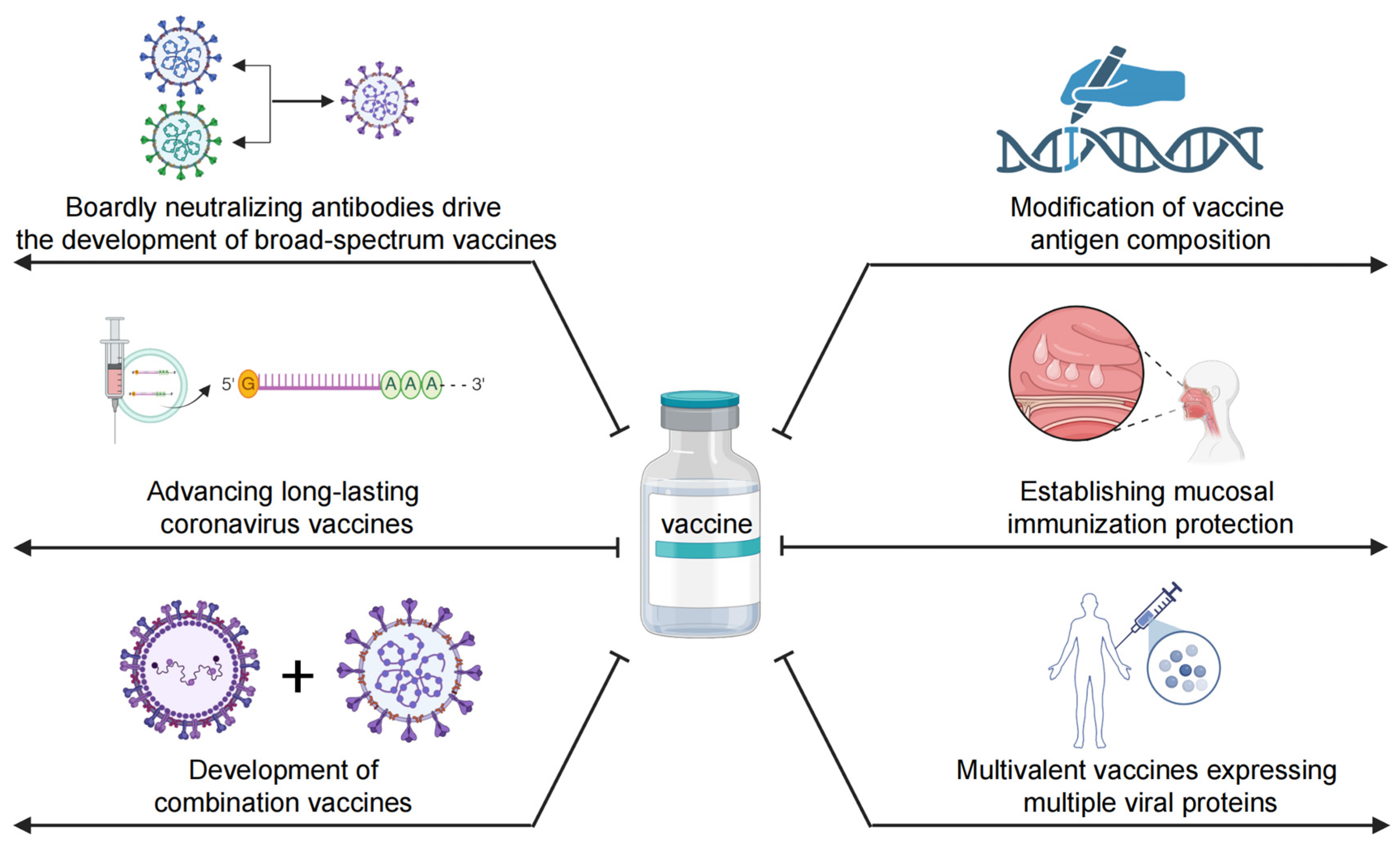 Vaccines 13 00635 g003