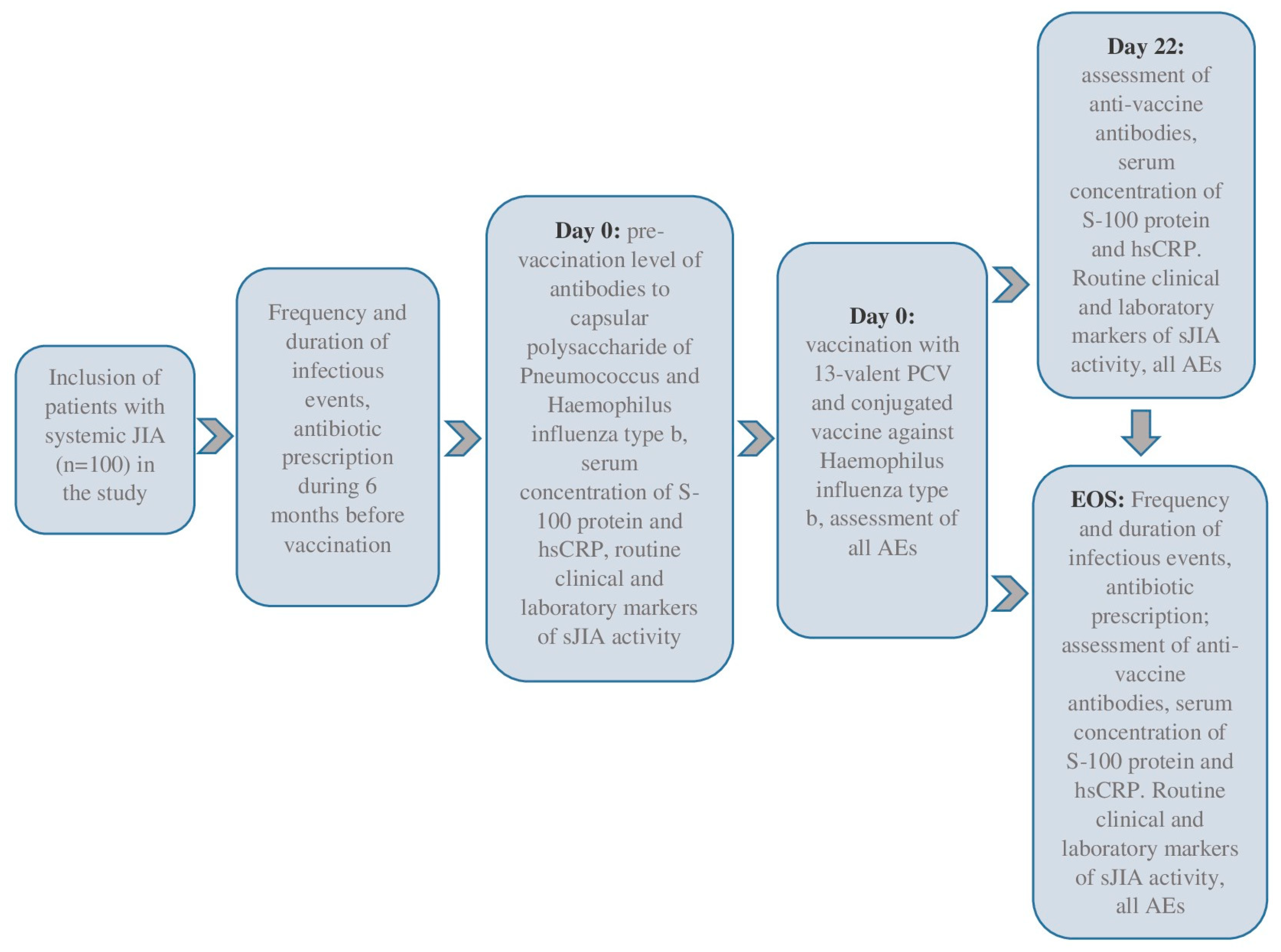 Vaccines 13 00644 g001
