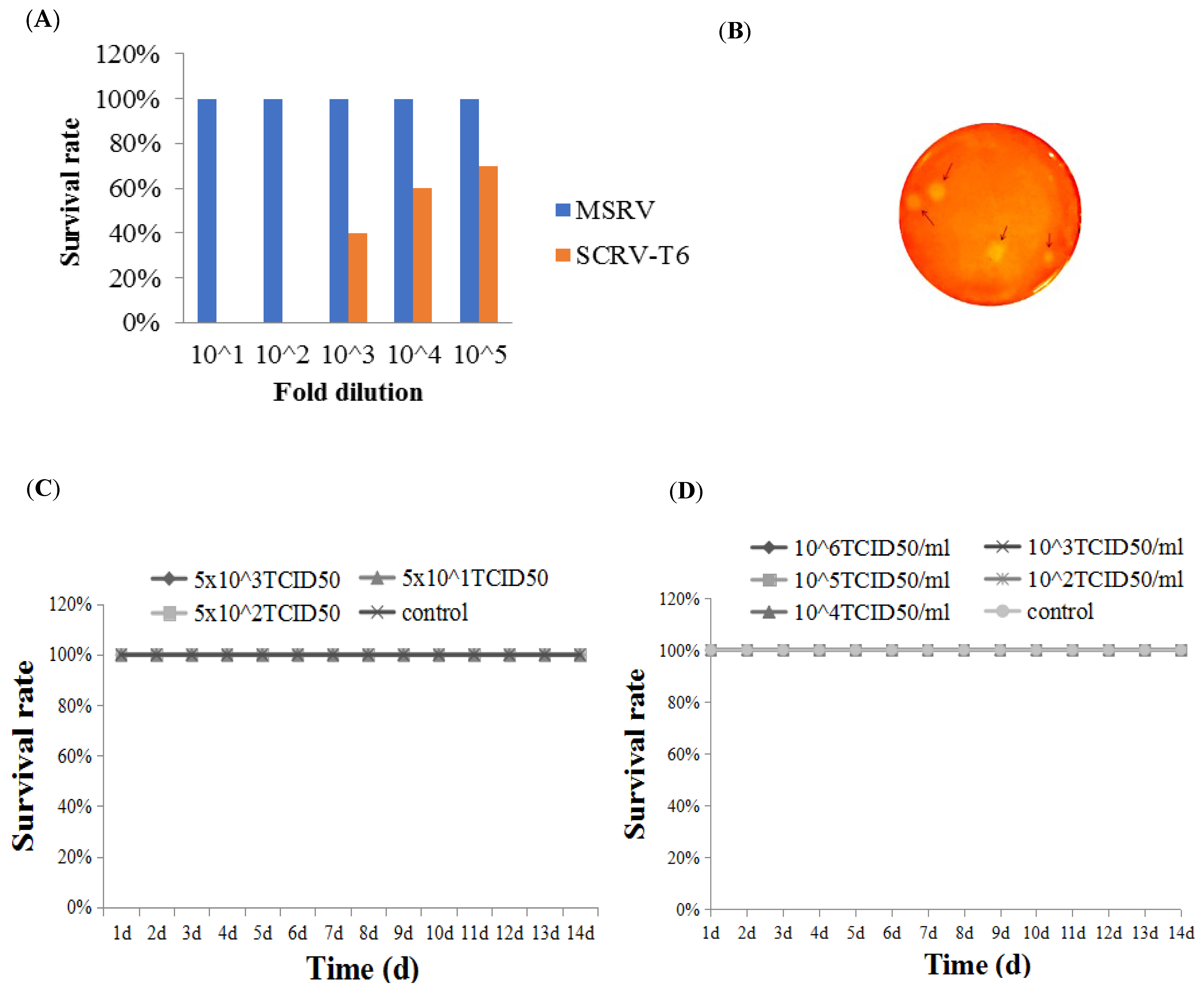 Vaccines 13 00645 g001