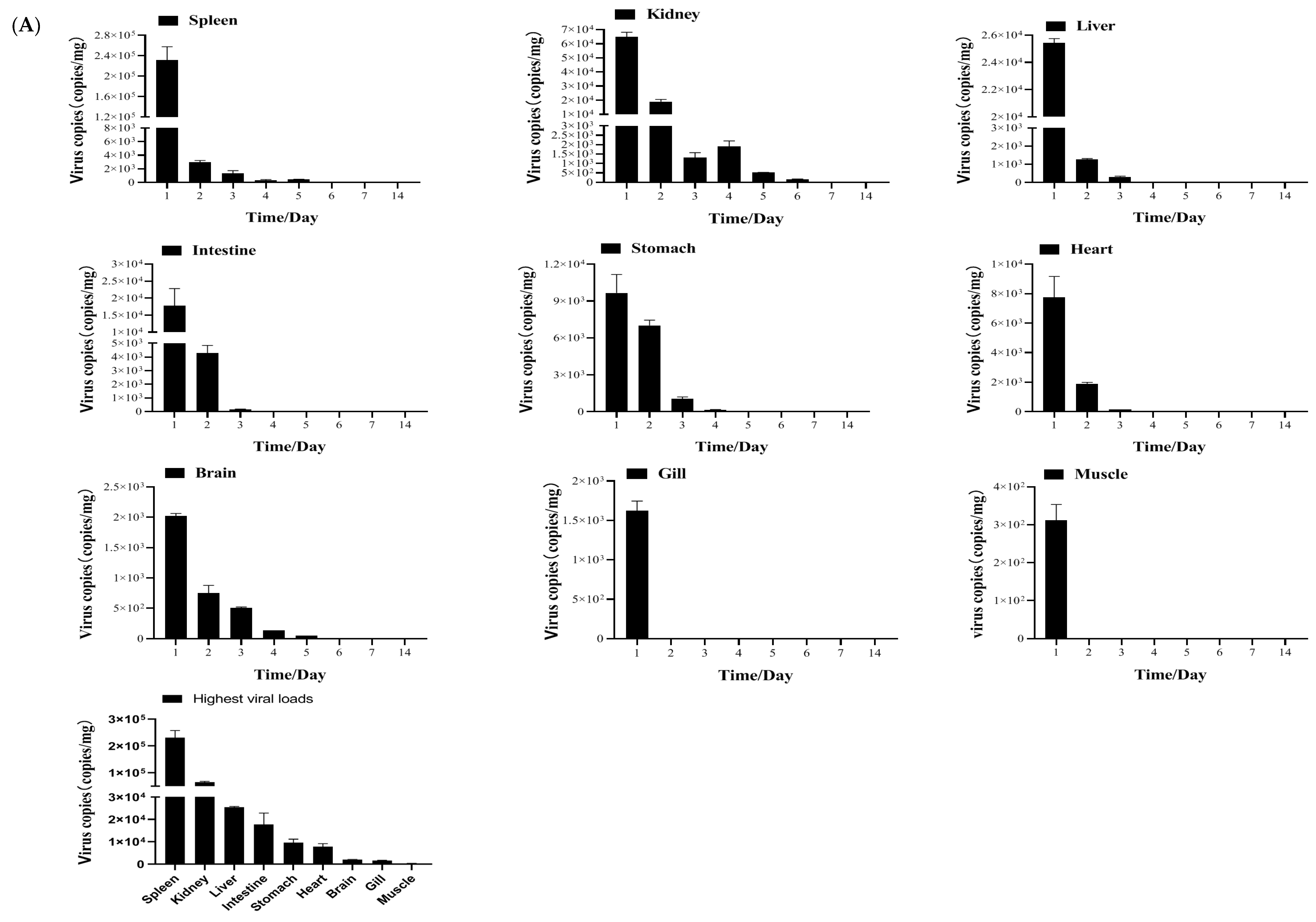 Vaccines 13 00645 g003a