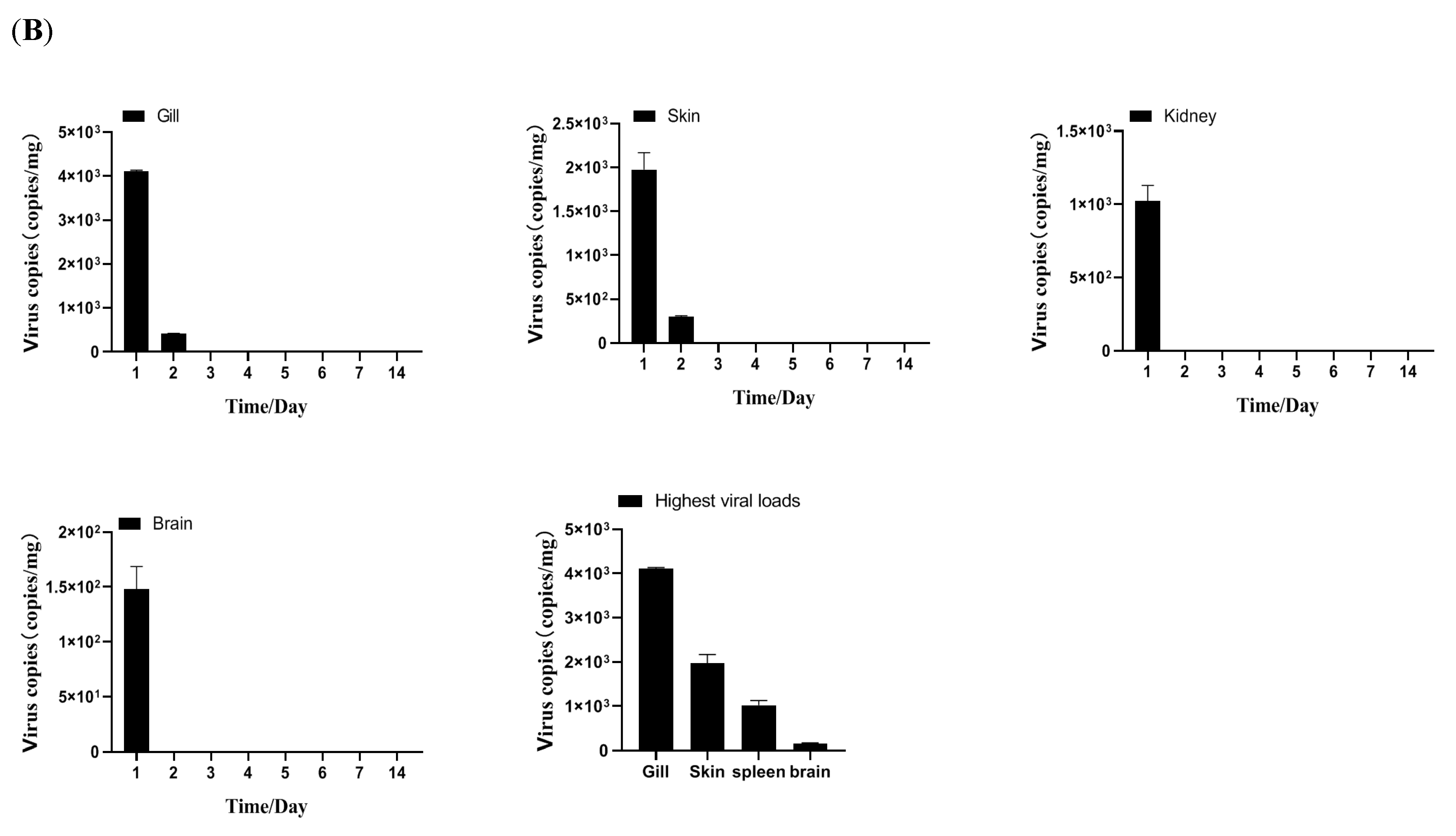 Vaccines 13 00645 g003b