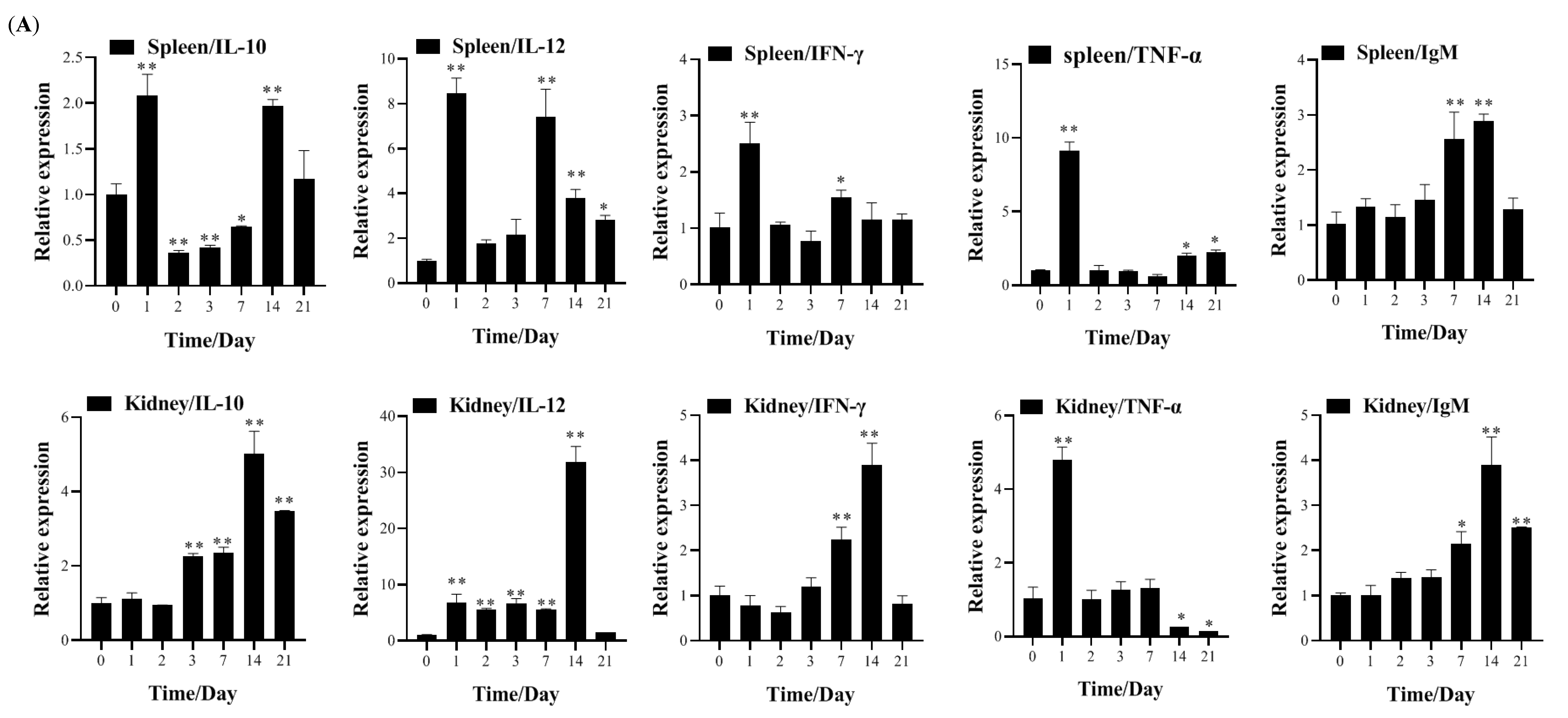 Vaccines 13 00645 g005a