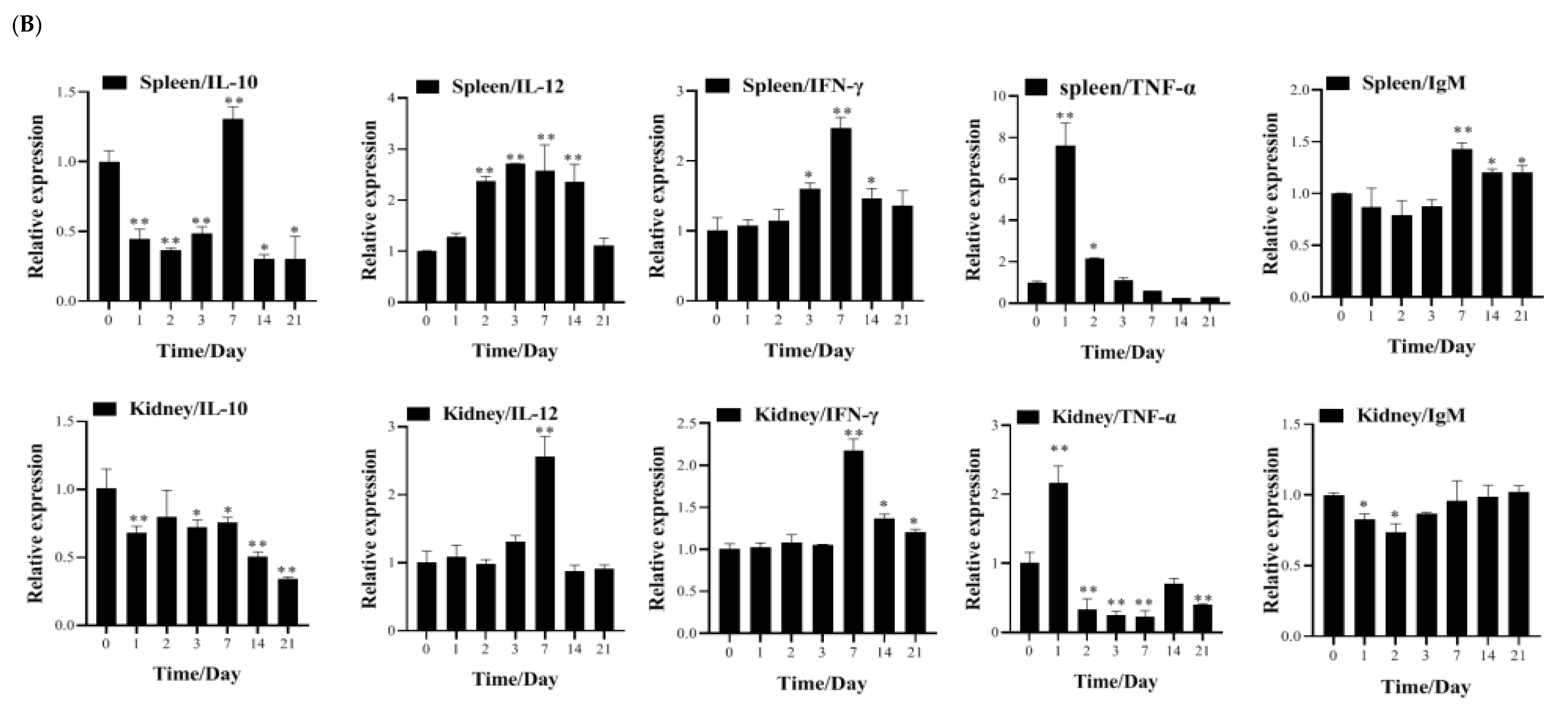 Vaccines 13 00645 g005b
