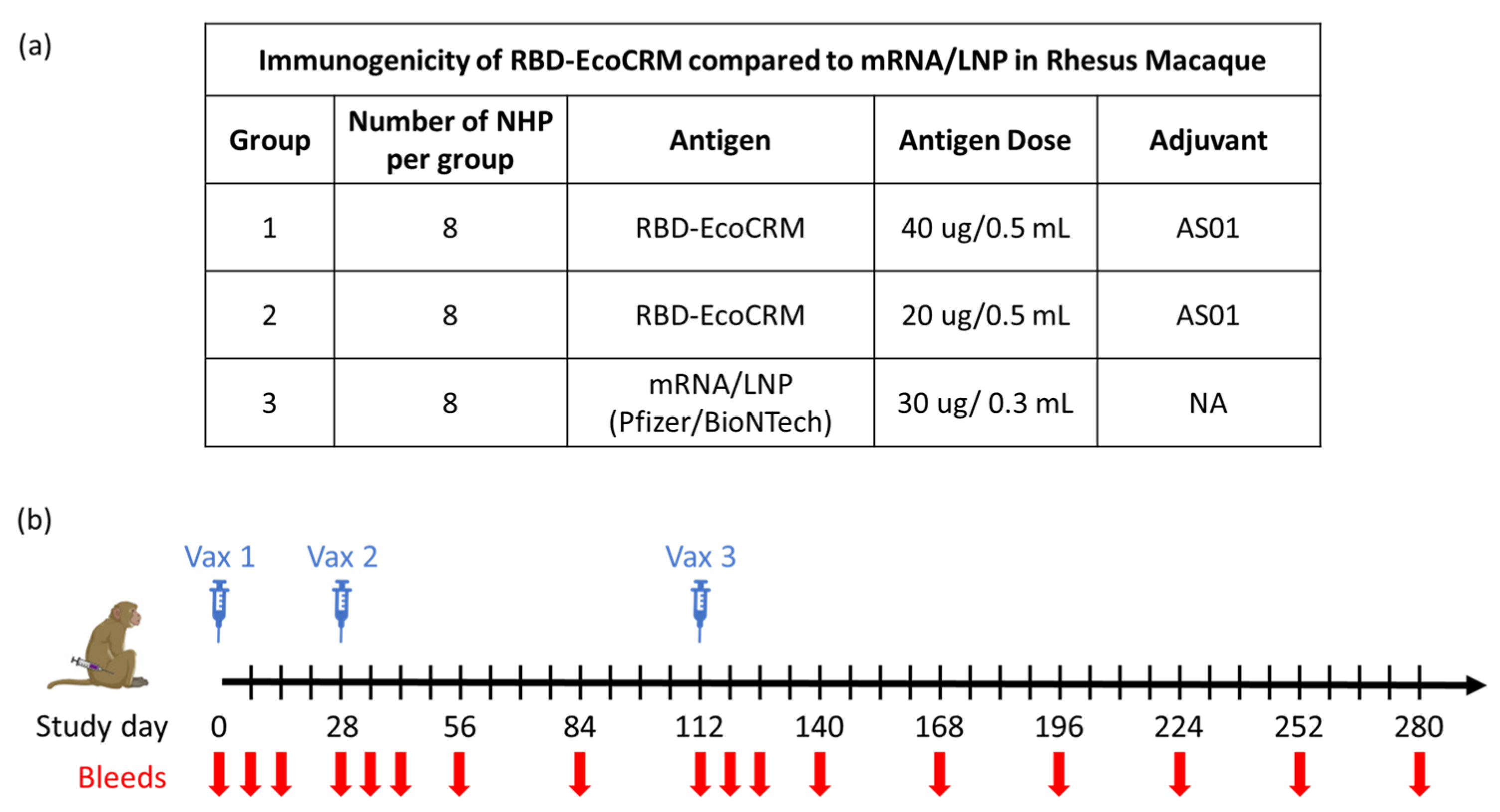 Vaccines 13 00648 g001