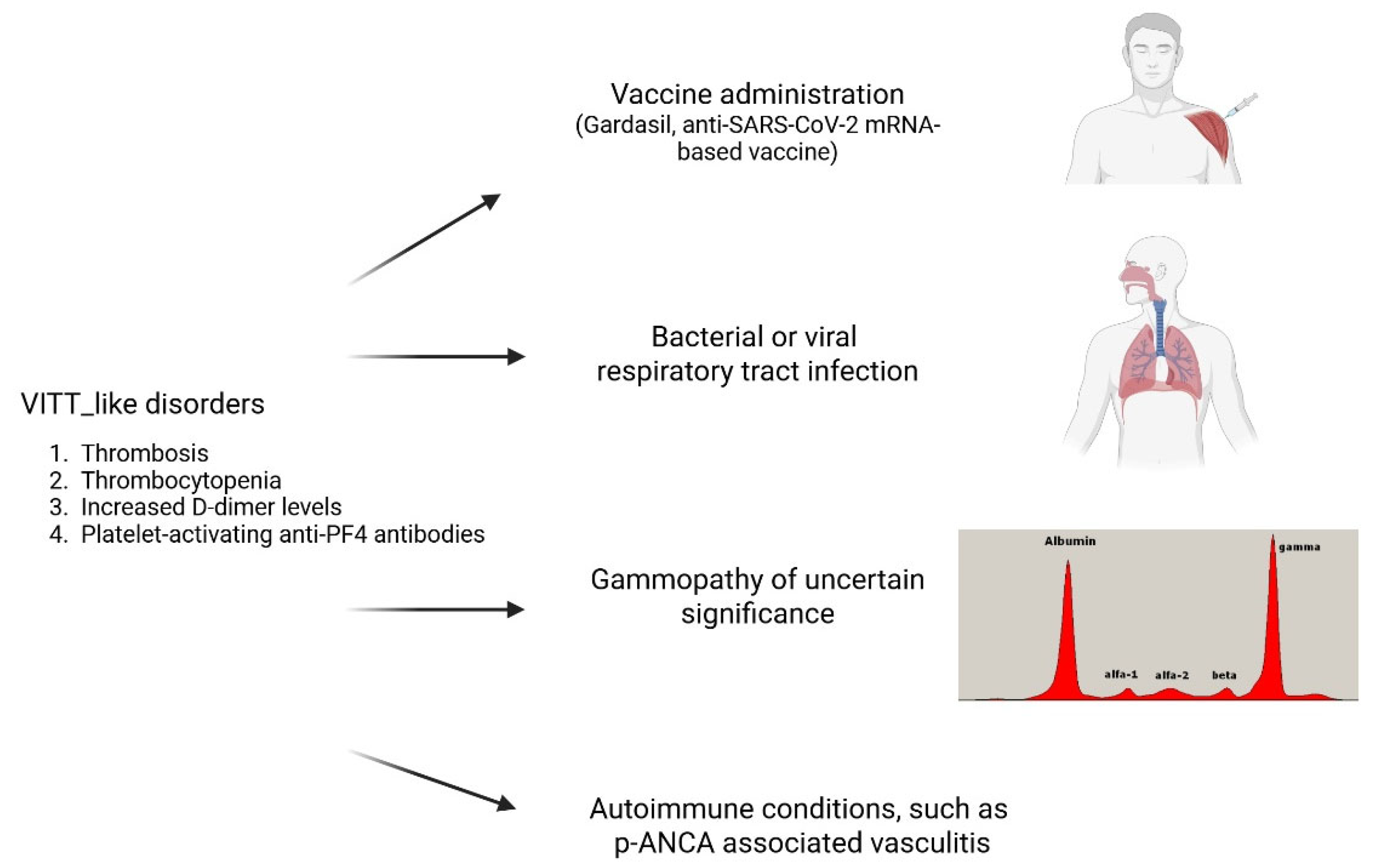 Vaccines 13 00650 g001