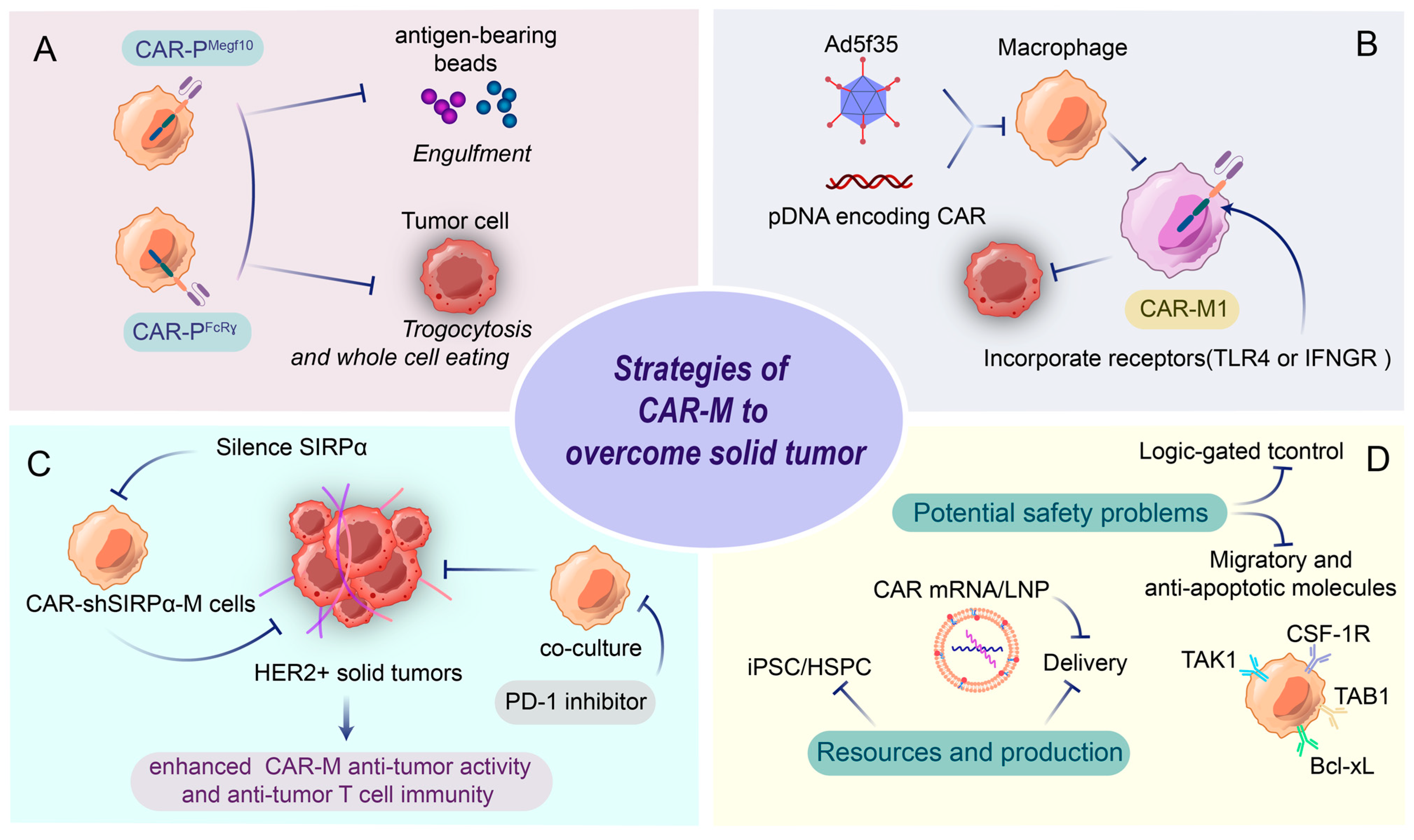 Vaccines 13 00654 g004