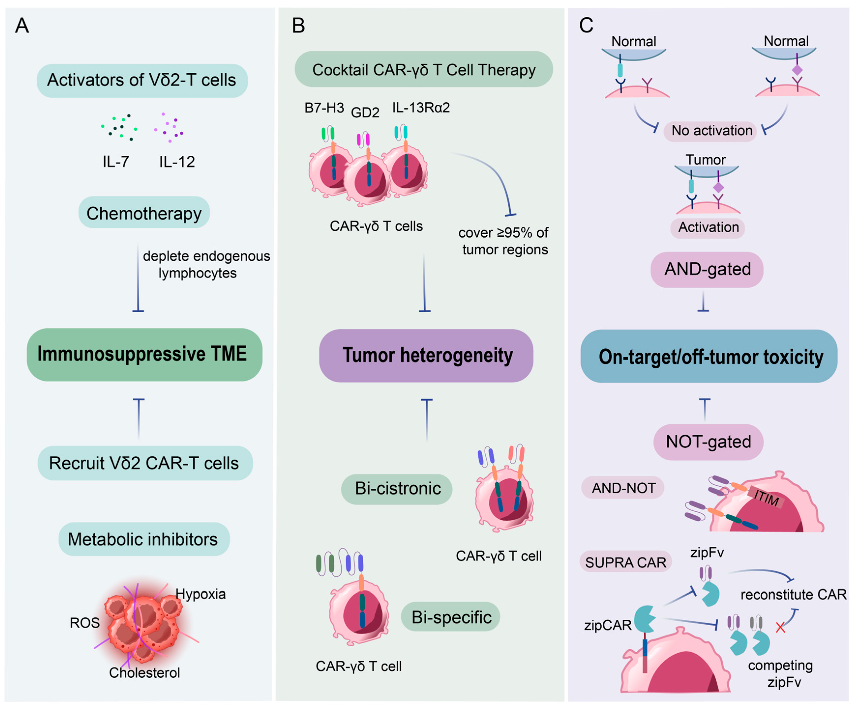 Vaccines 13 00654 g005