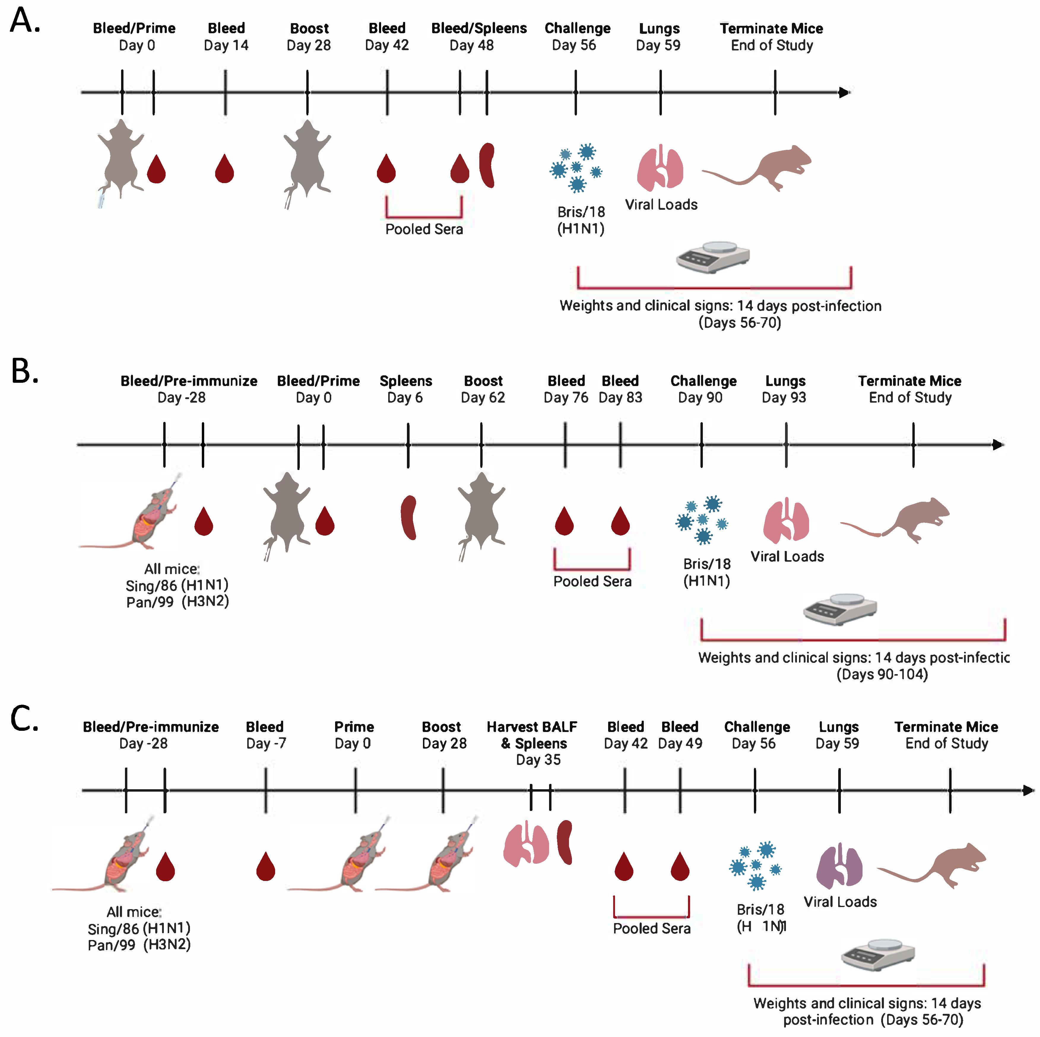 Vaccines 13 00662 g001