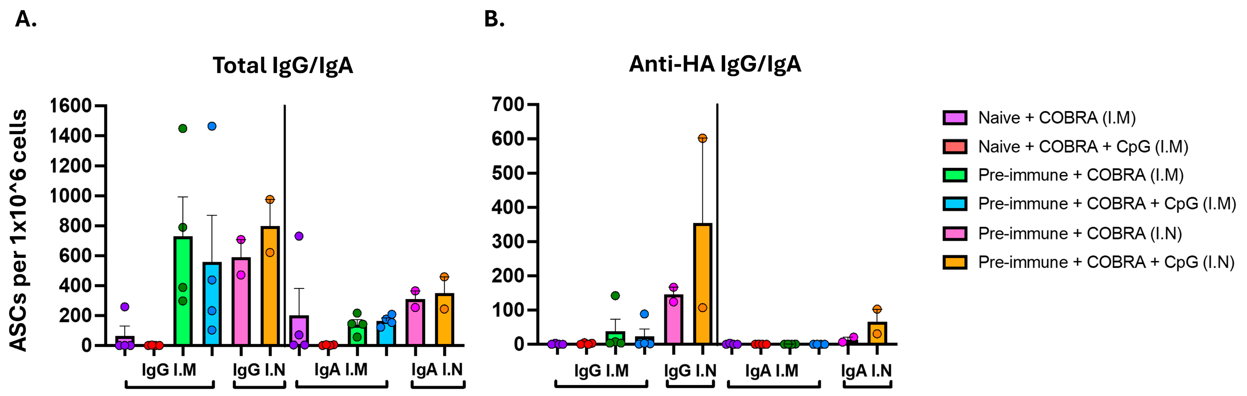 Vaccines 13 00662 g006