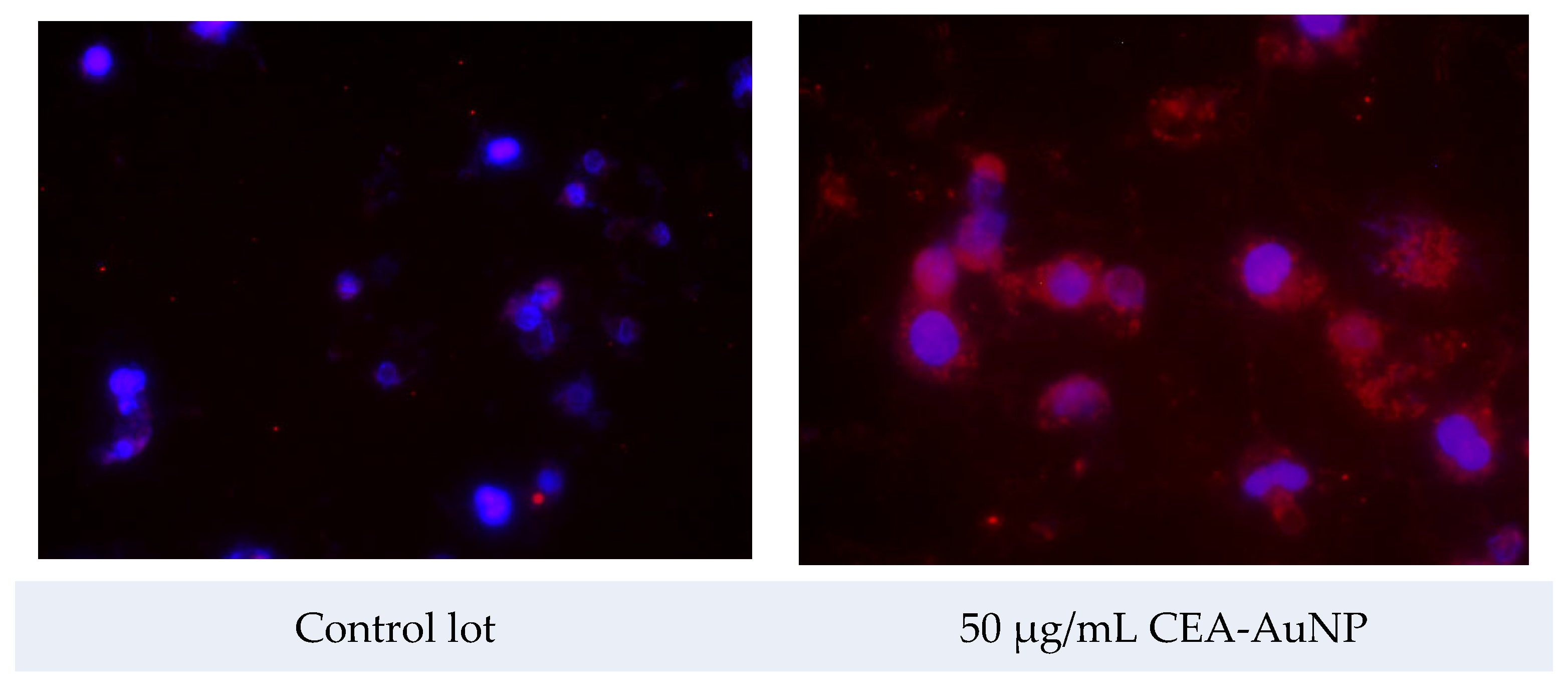 Vaccines 13 00668 g006
