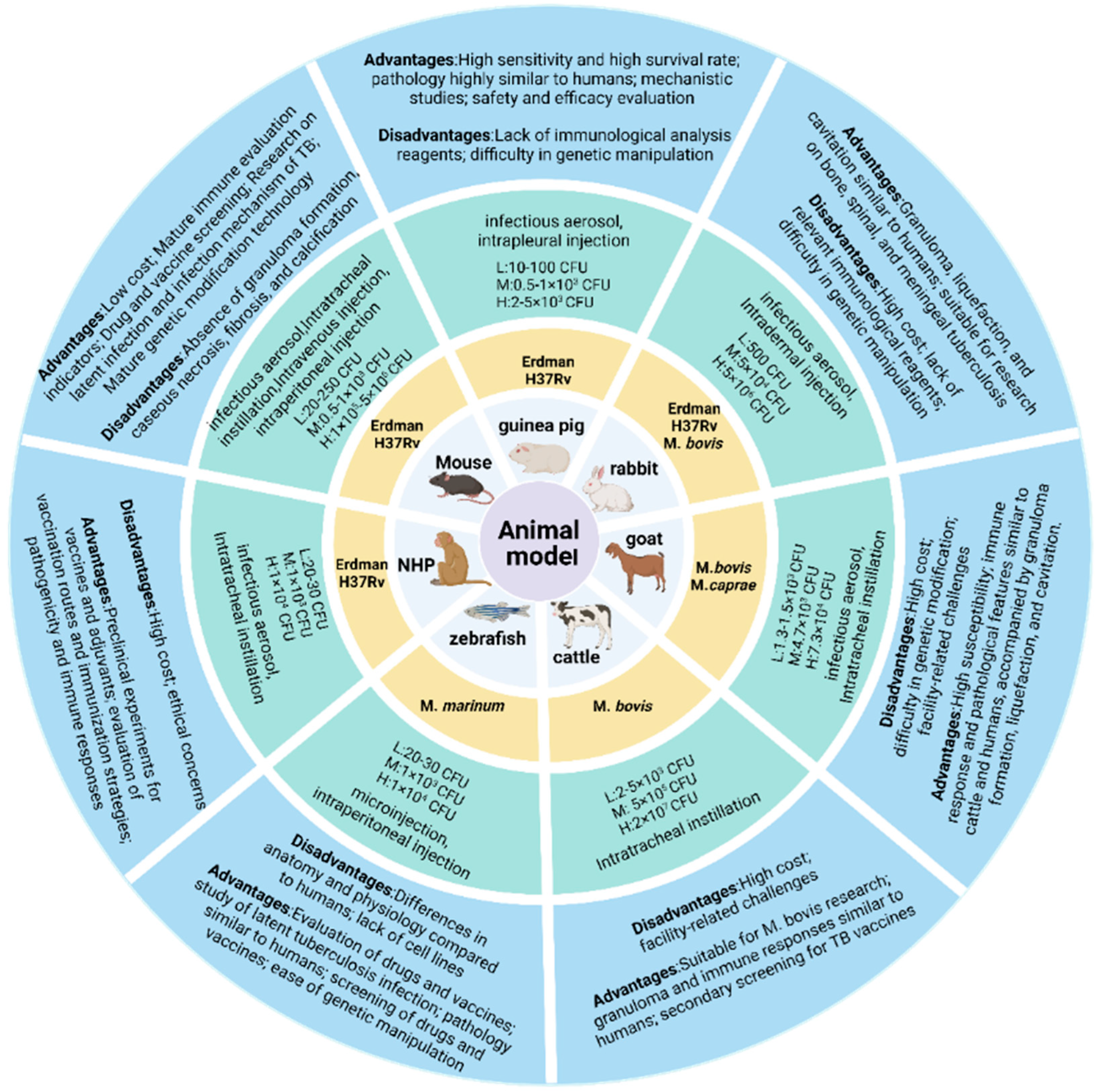 Vaccines 13 00669 g002