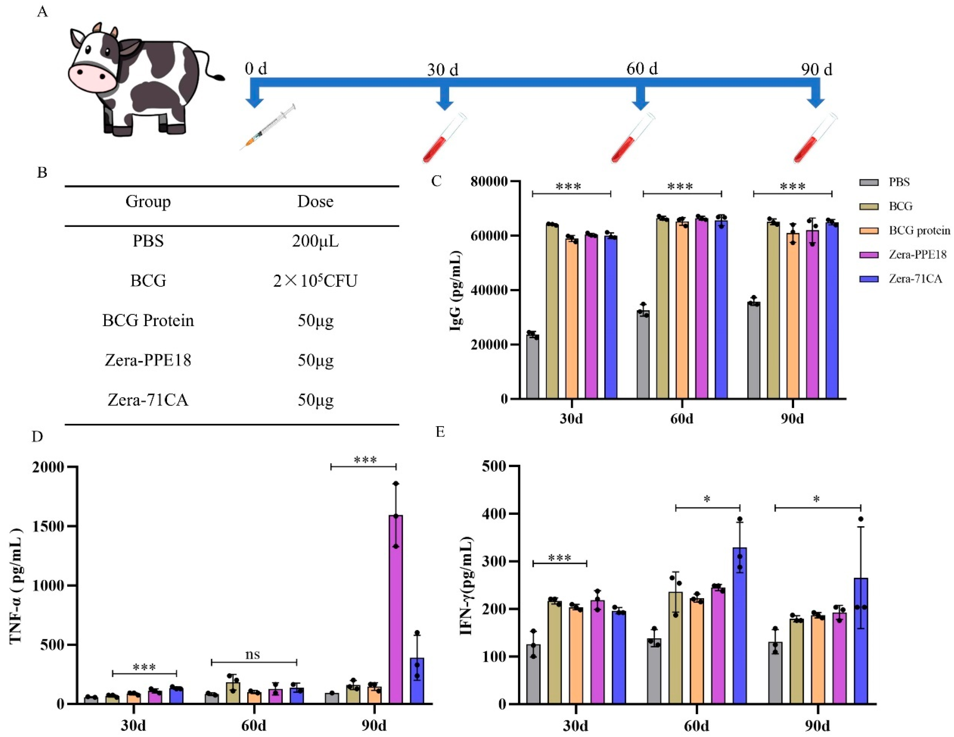 Vaccines 13 00671 g008