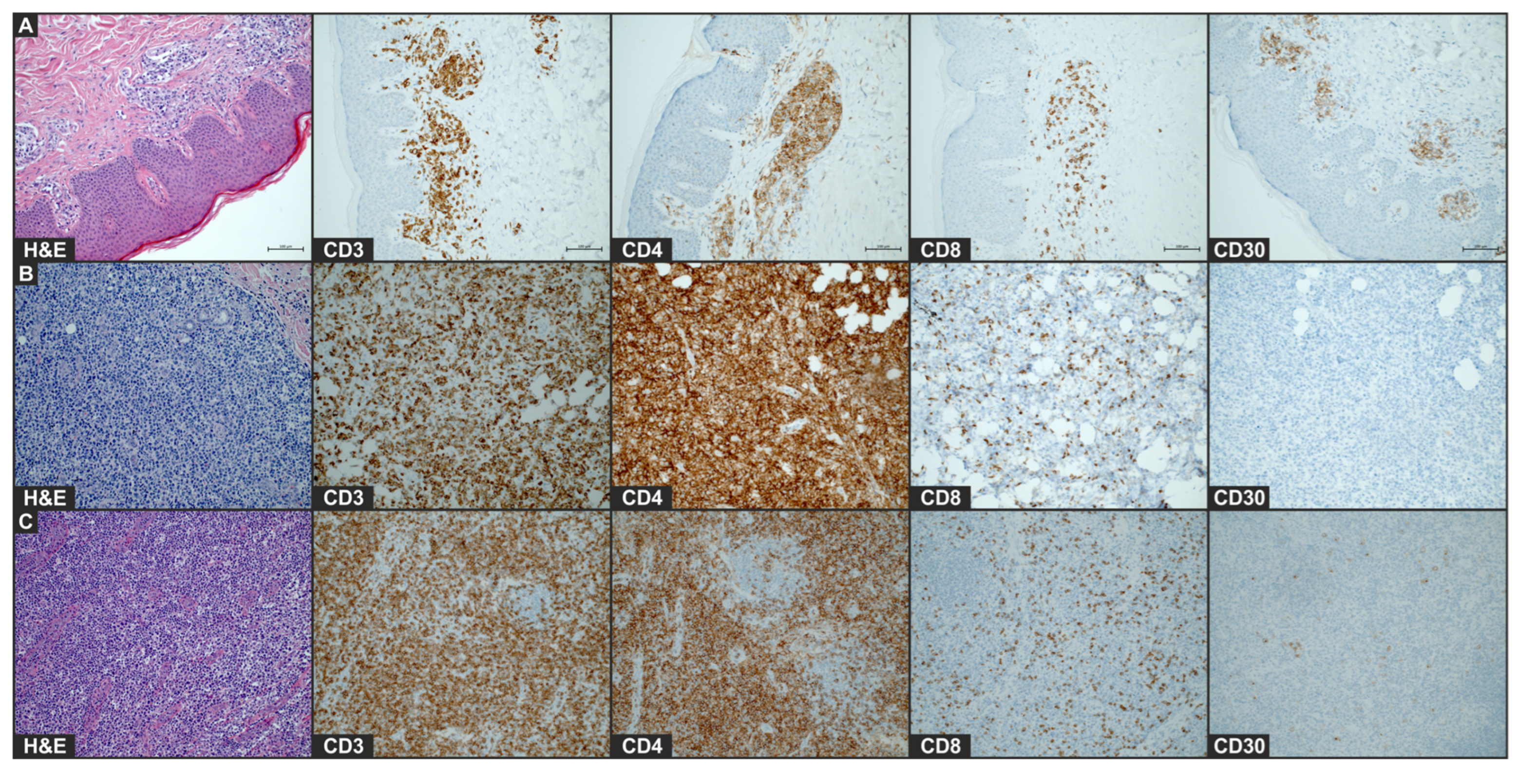 Vaccines 13 00678 g002