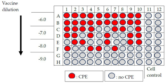 Vaccines 13 00680 g0a3