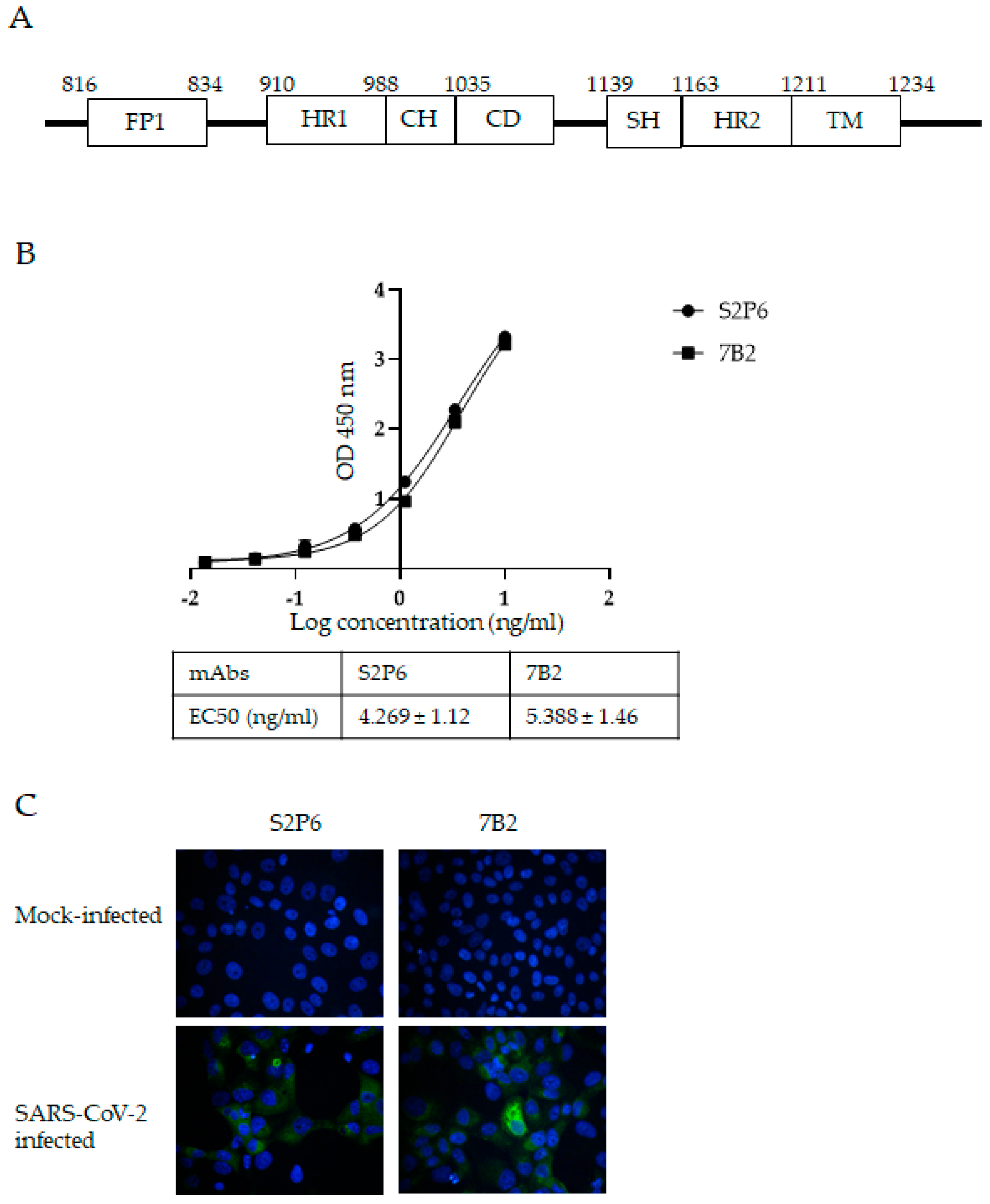 Vaccines 13 00688 g001