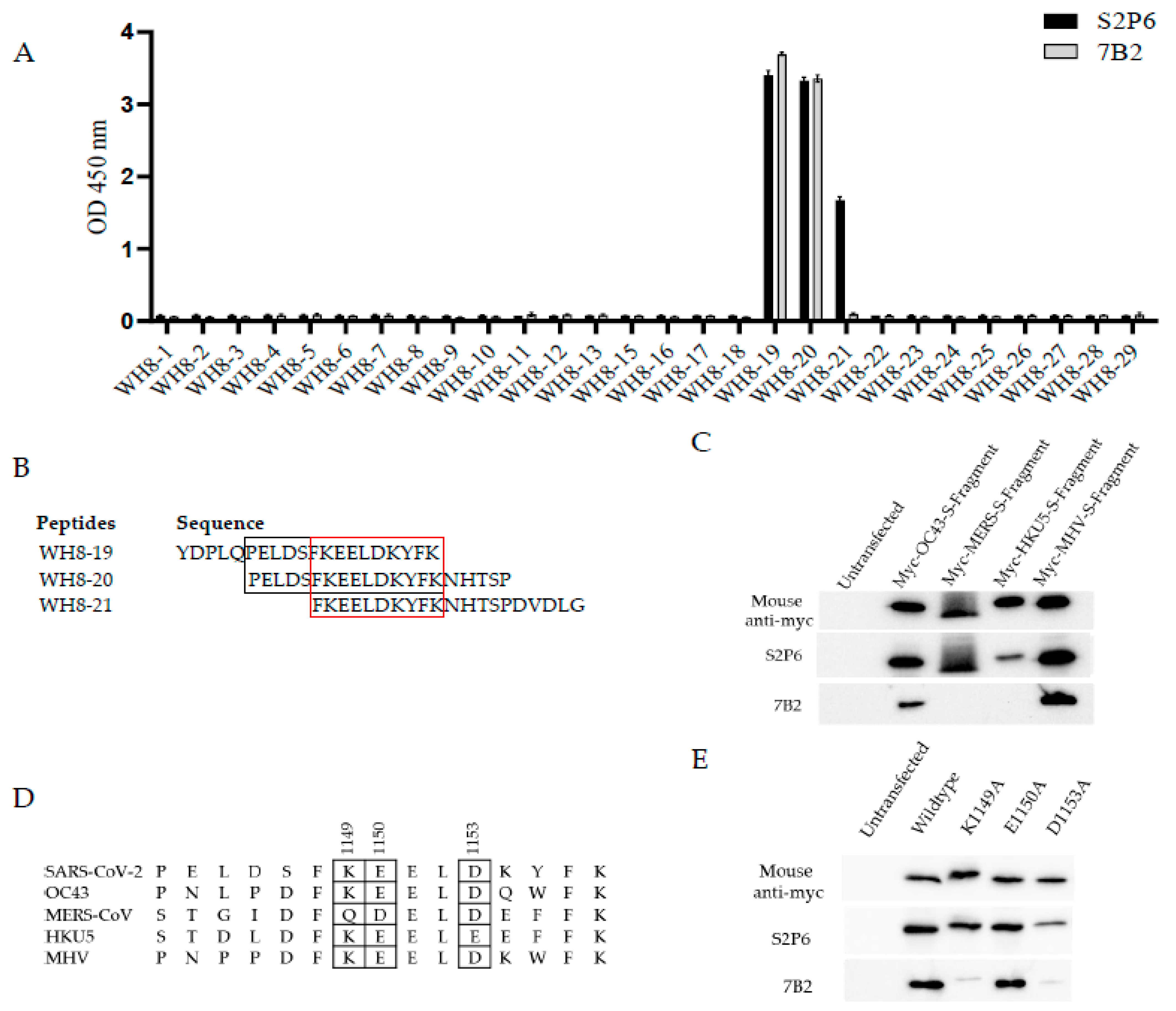 Vaccines 13 00688 g003