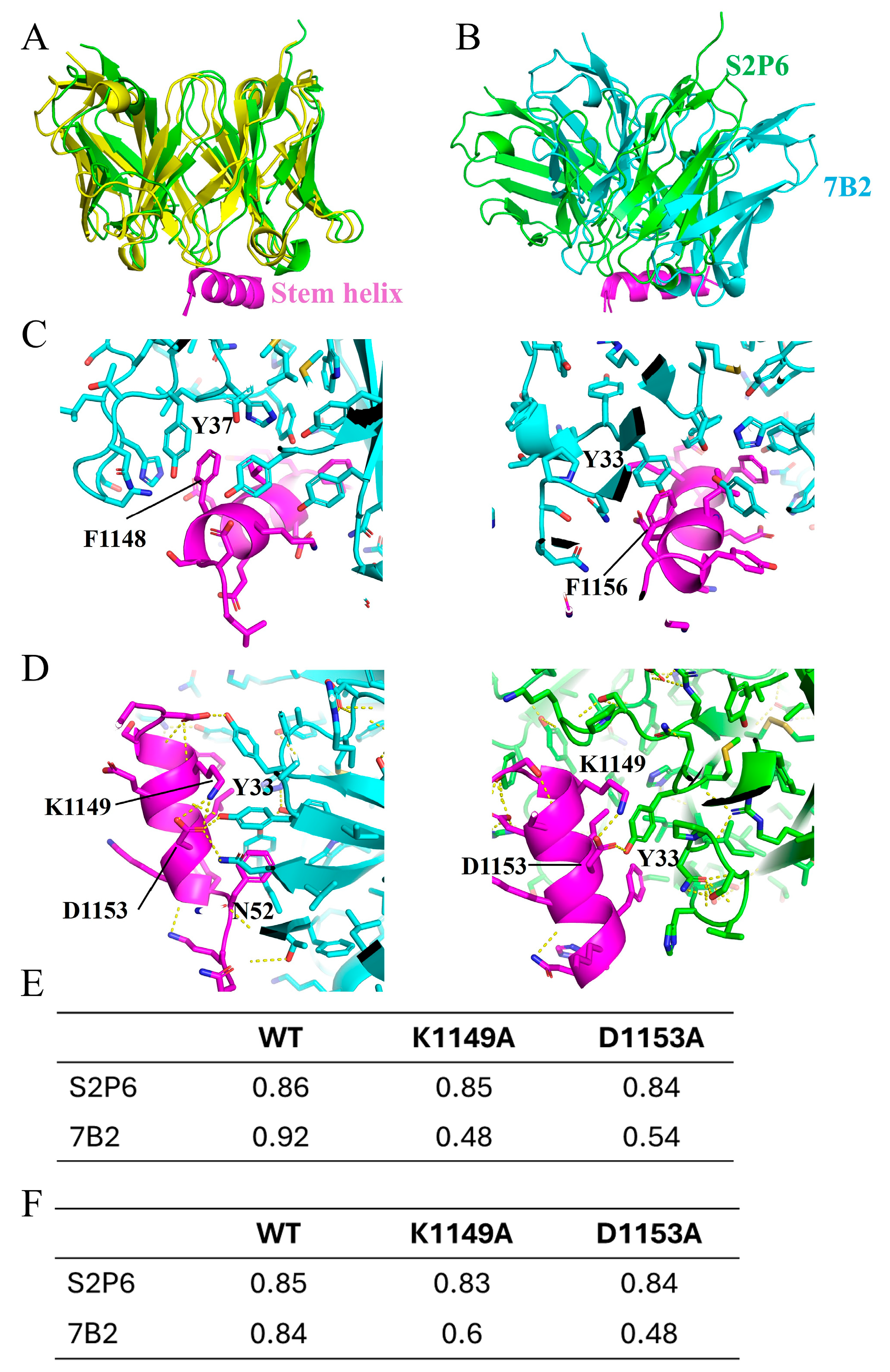 Vaccines 13 00688 g005