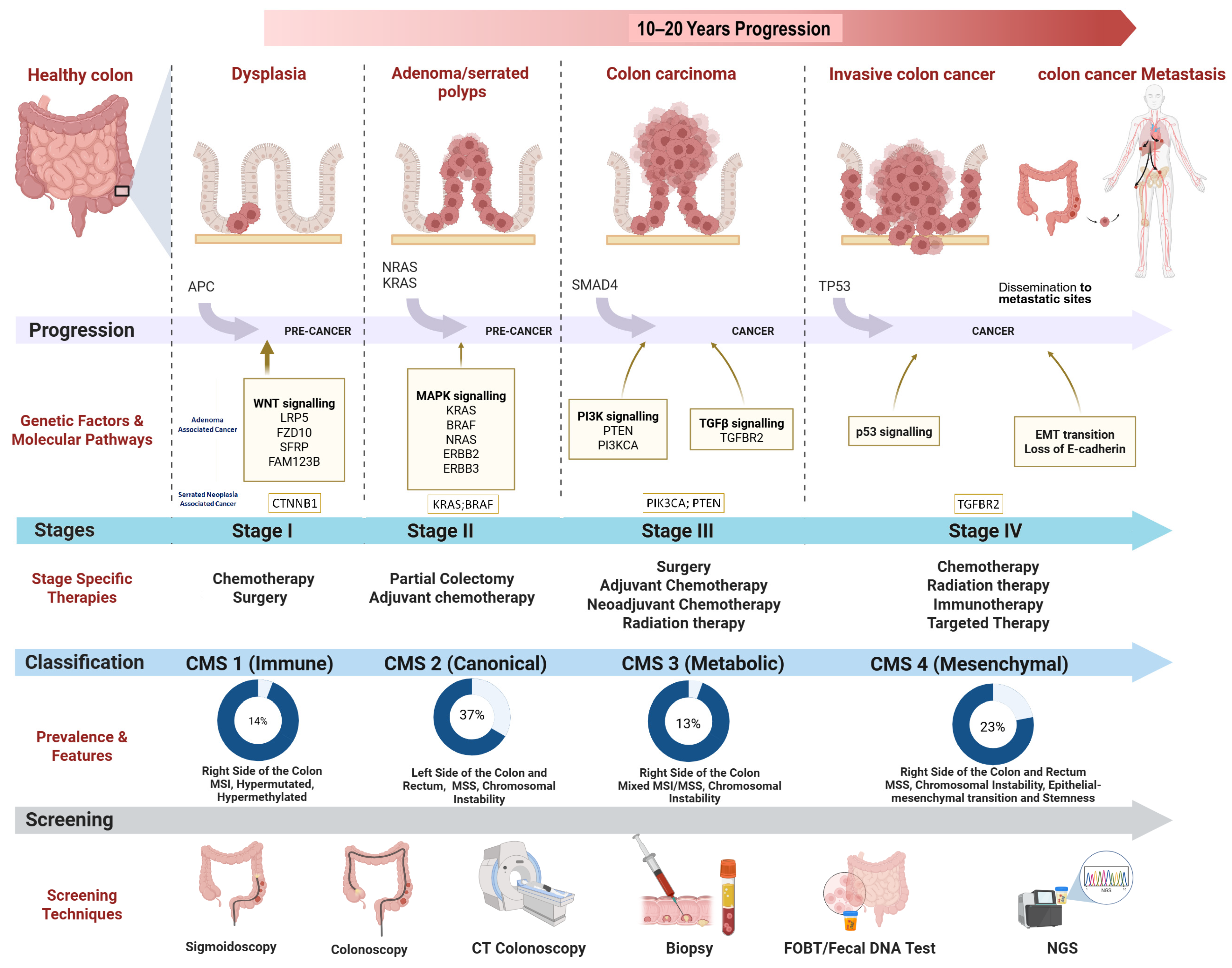Vaccines 13 00689 g001
