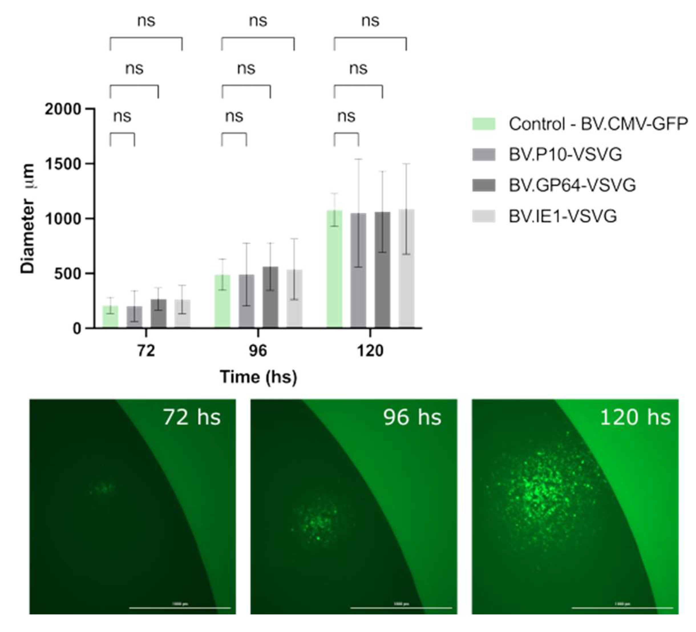 Vaccines 13 00693 g006 Vaccines 13 00693 g006