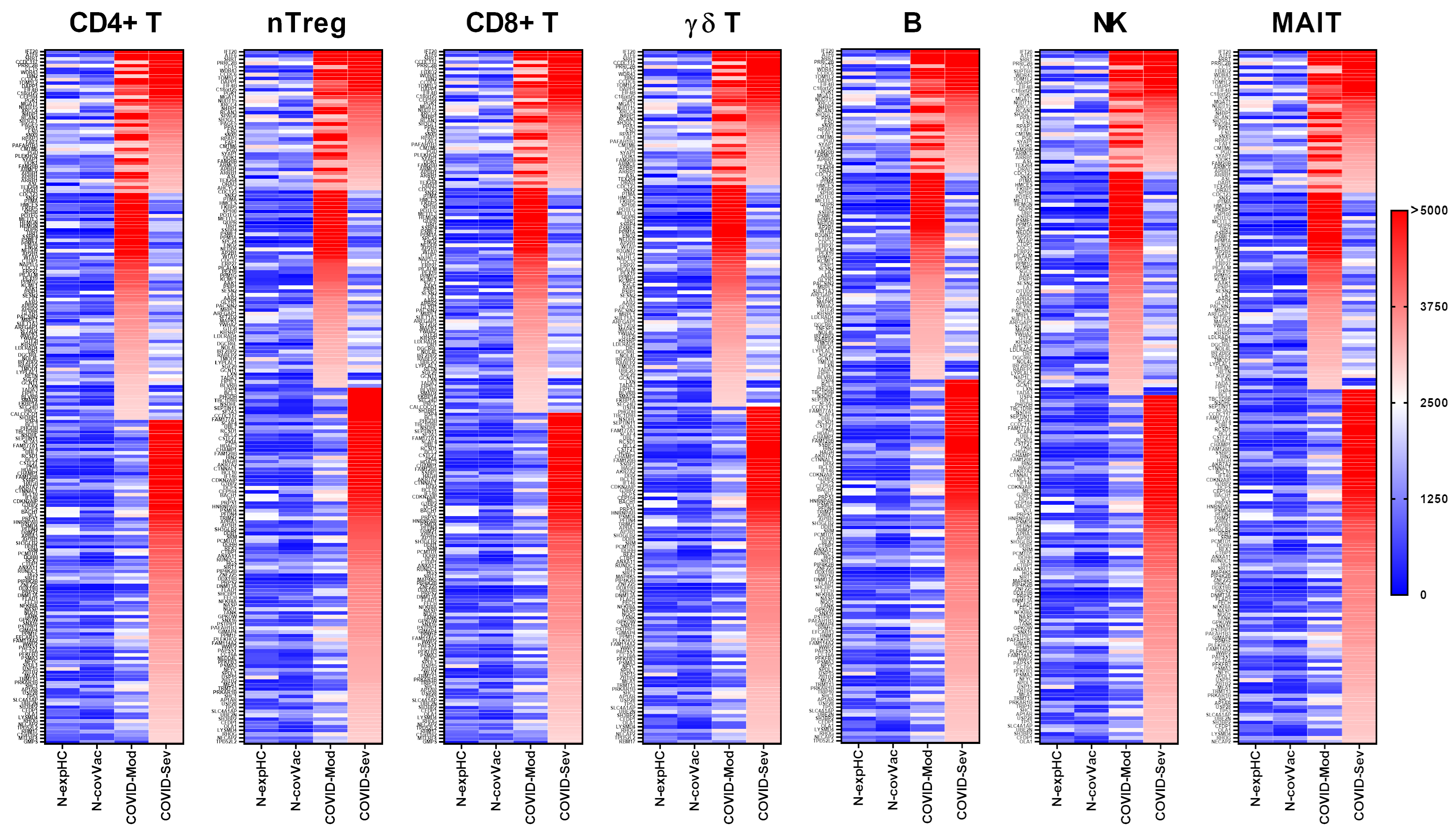 Vaccines 13 00694 g001