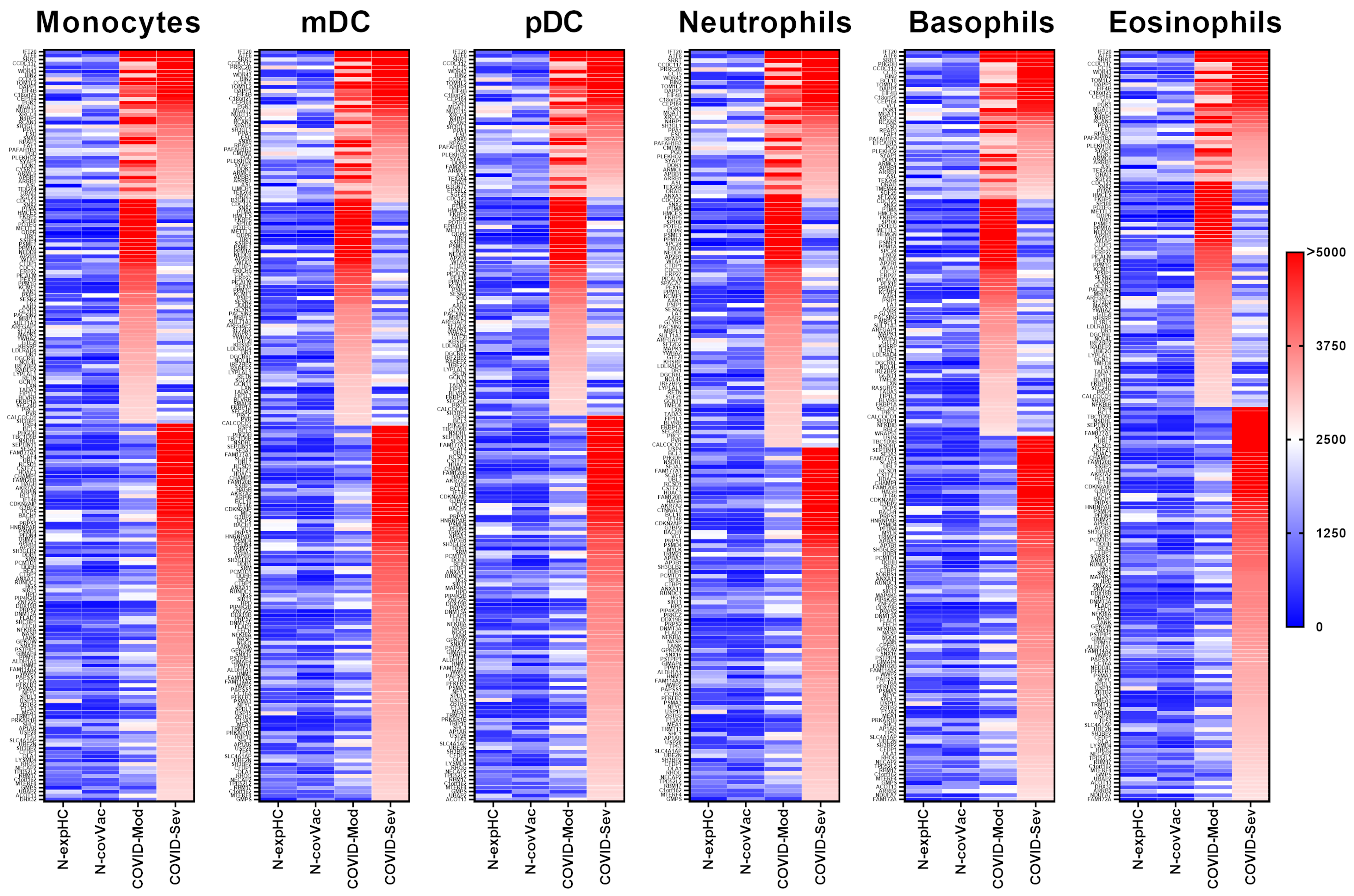 Vaccines 13 00694 g002