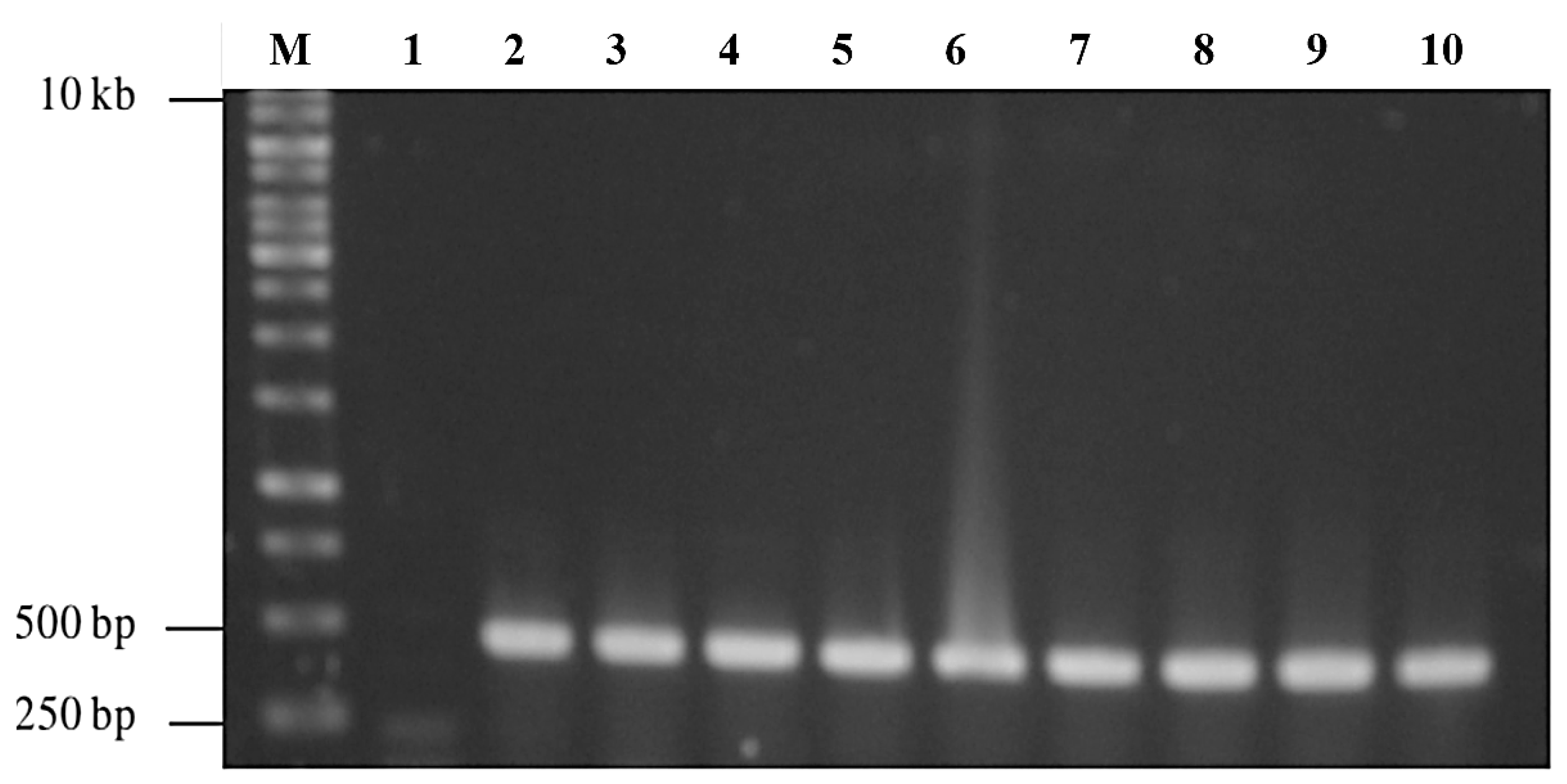 Vaccines 13 00701 g003