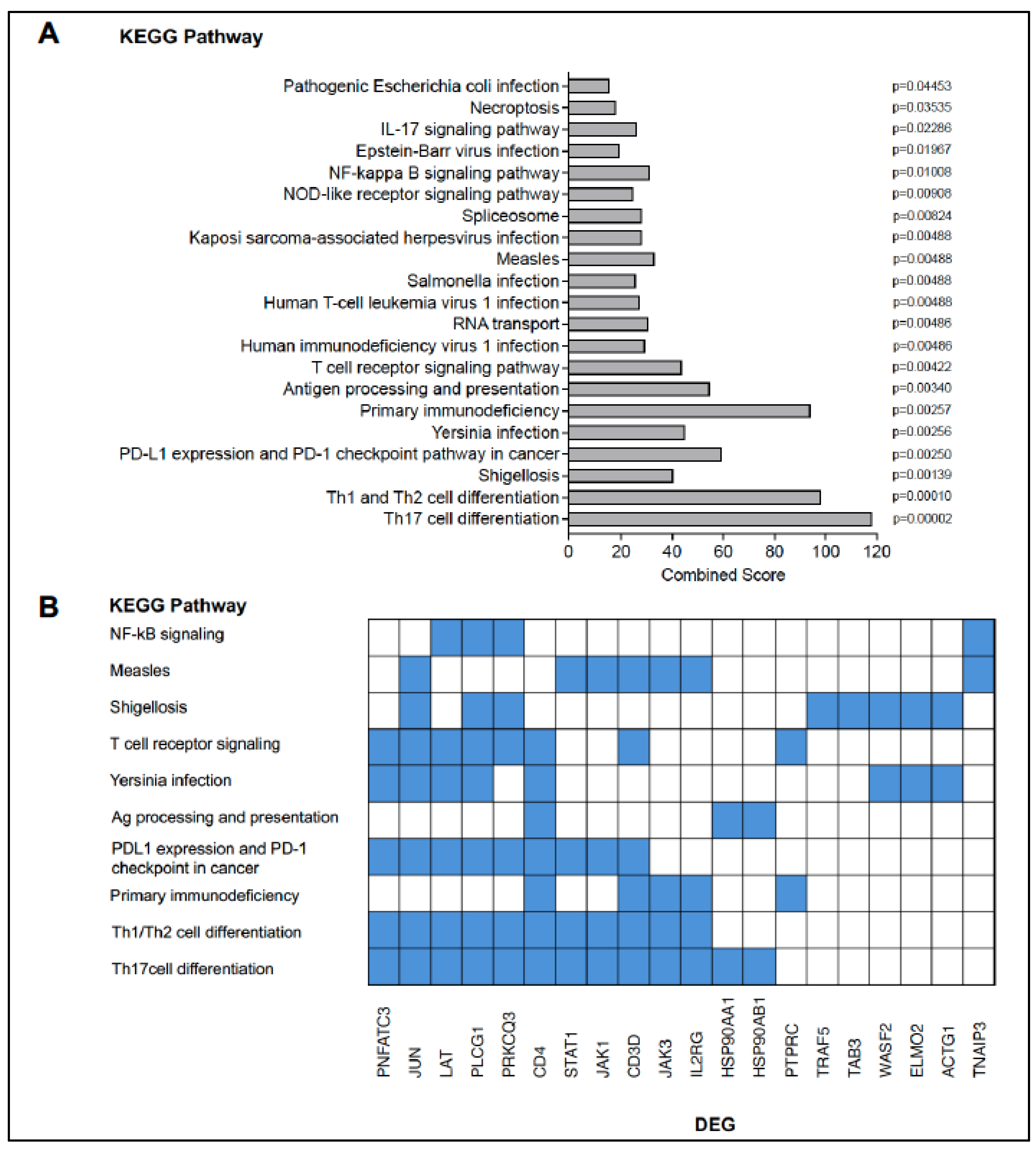 Vaccines 13 00706 g003