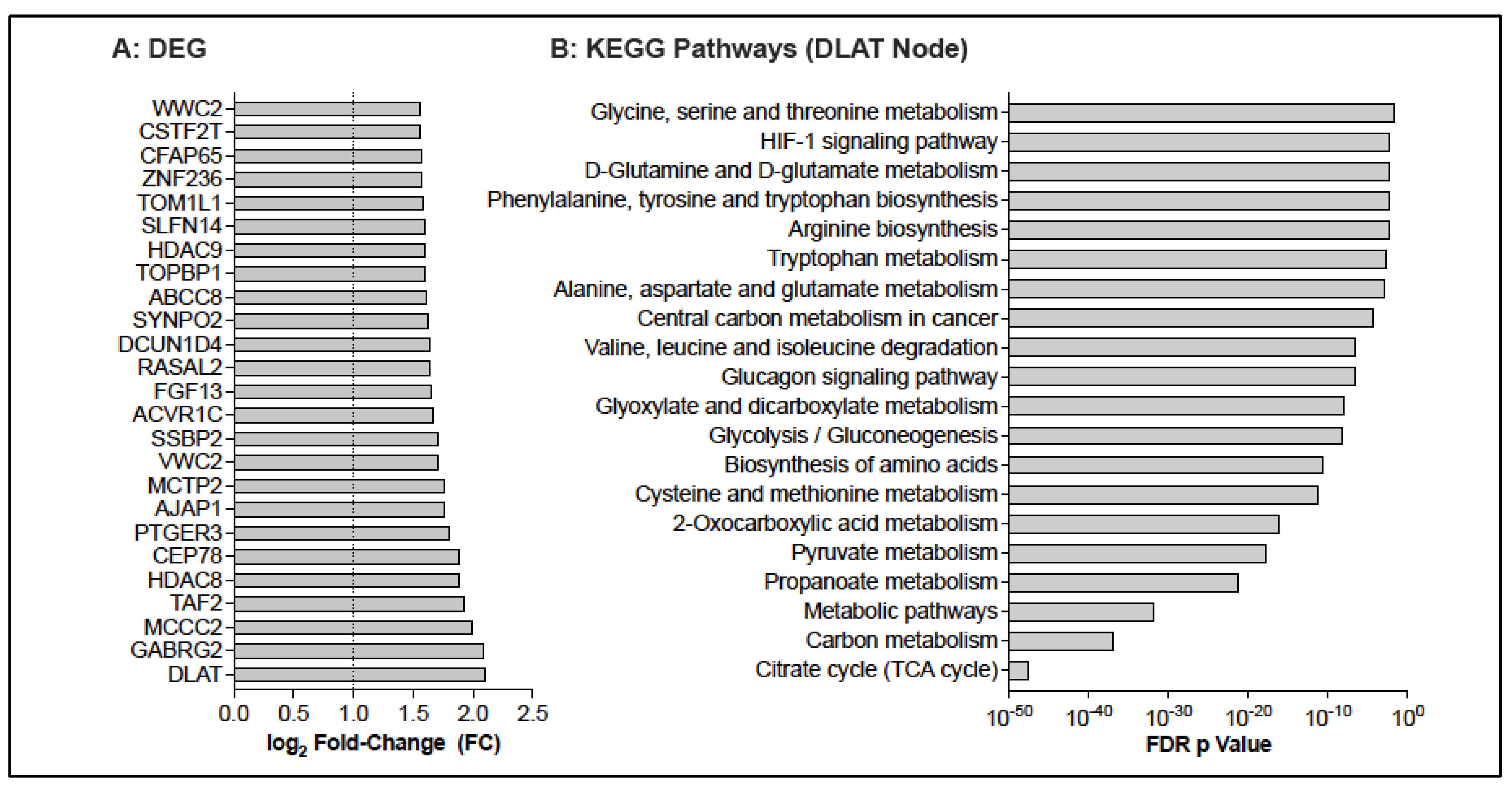 Vaccines 13 00706 g007