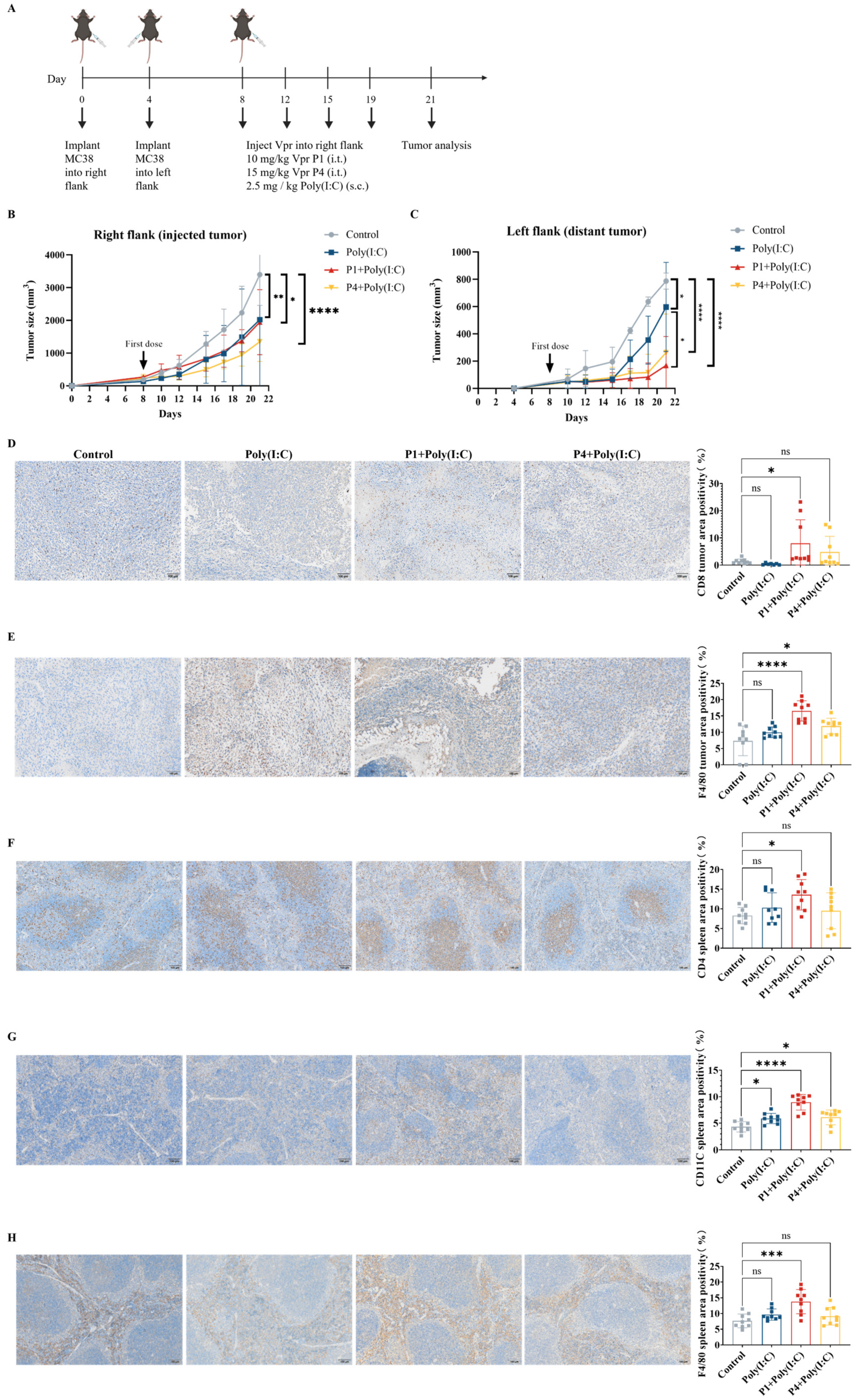Vaccines 13 00710 g004