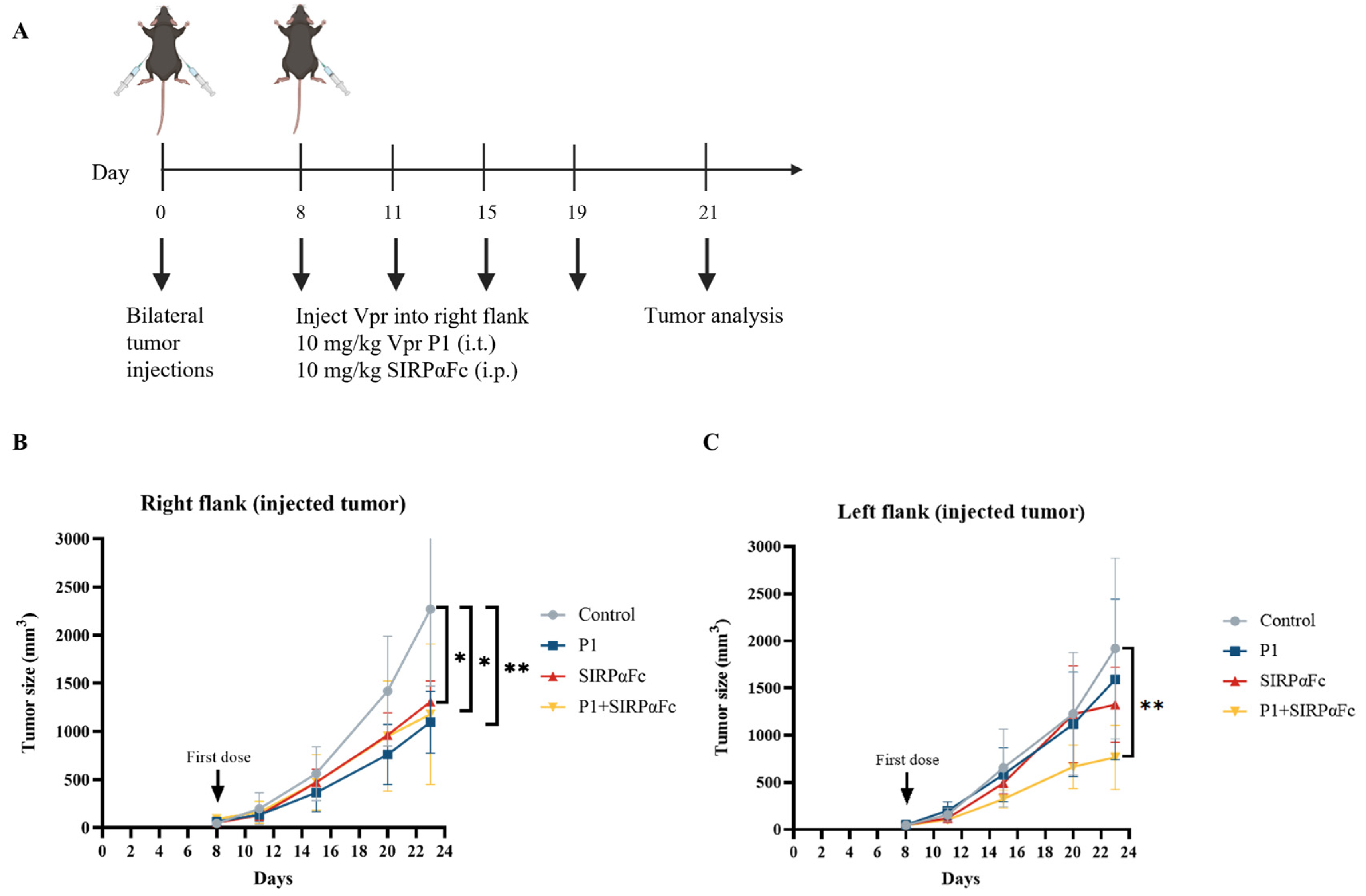 Vaccines 13 00710 g008