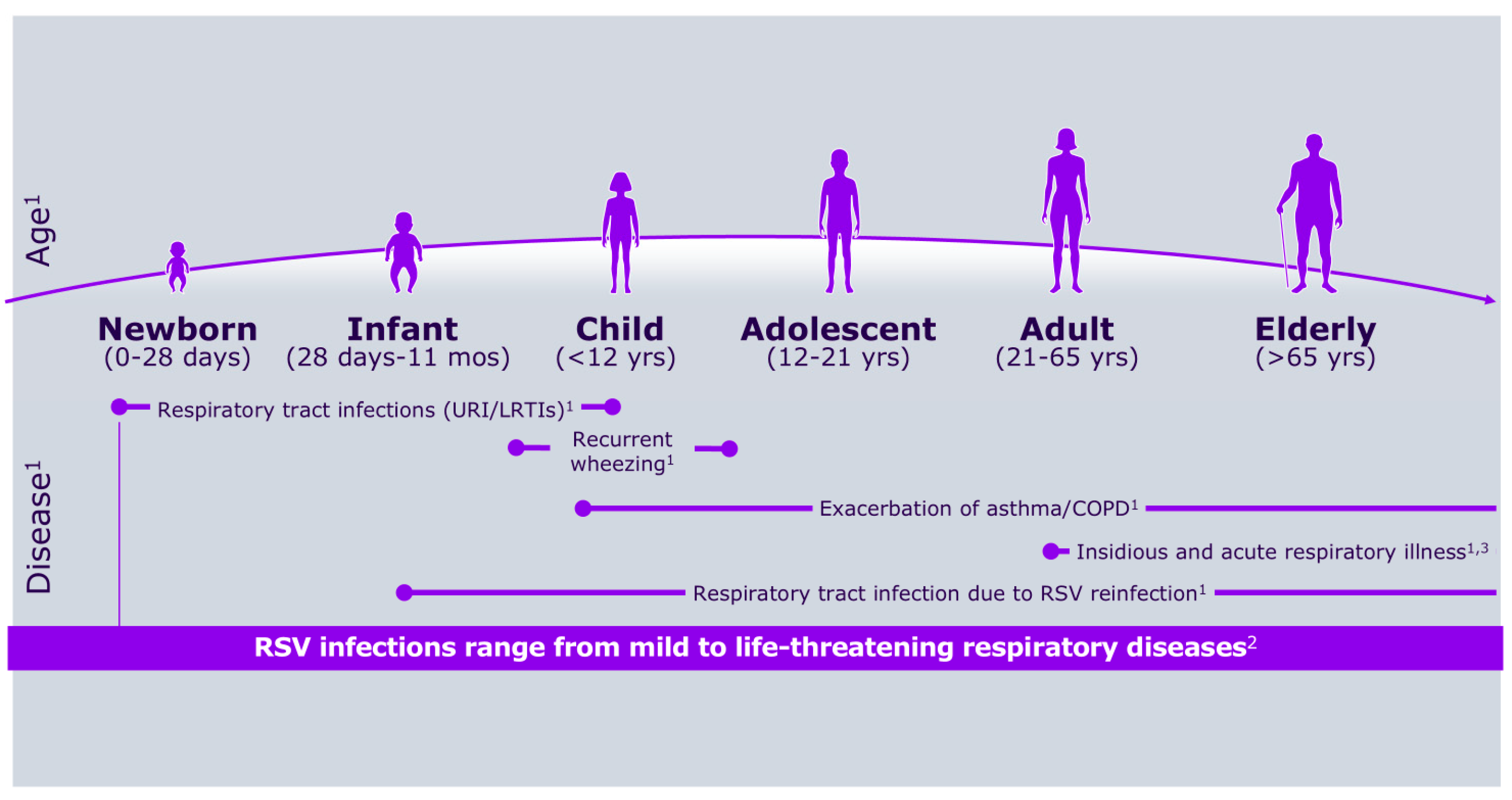 Vaccines 13 00717 g001