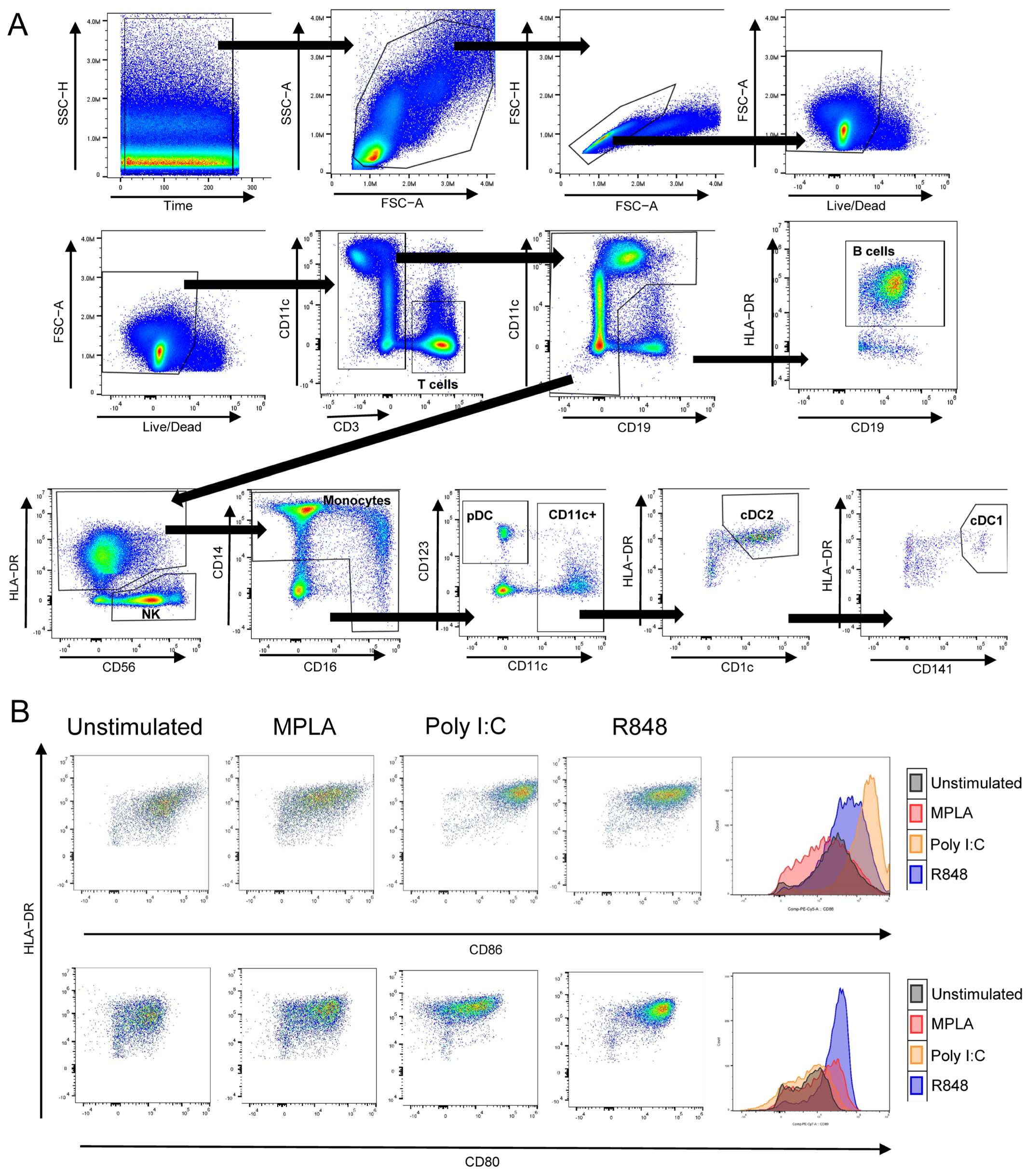 Vaccines 13 00718 g0a2