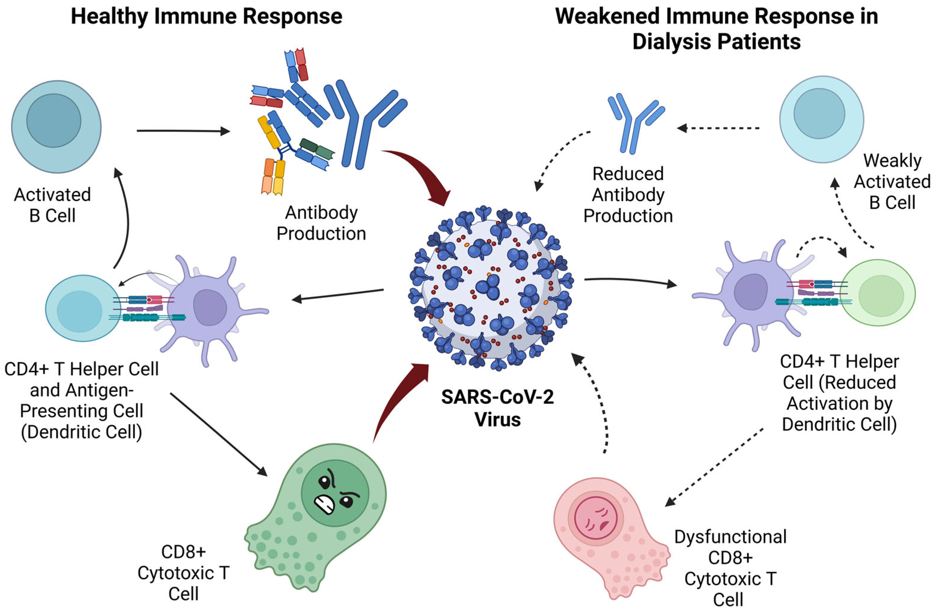 Vaccines 13 00723 g001