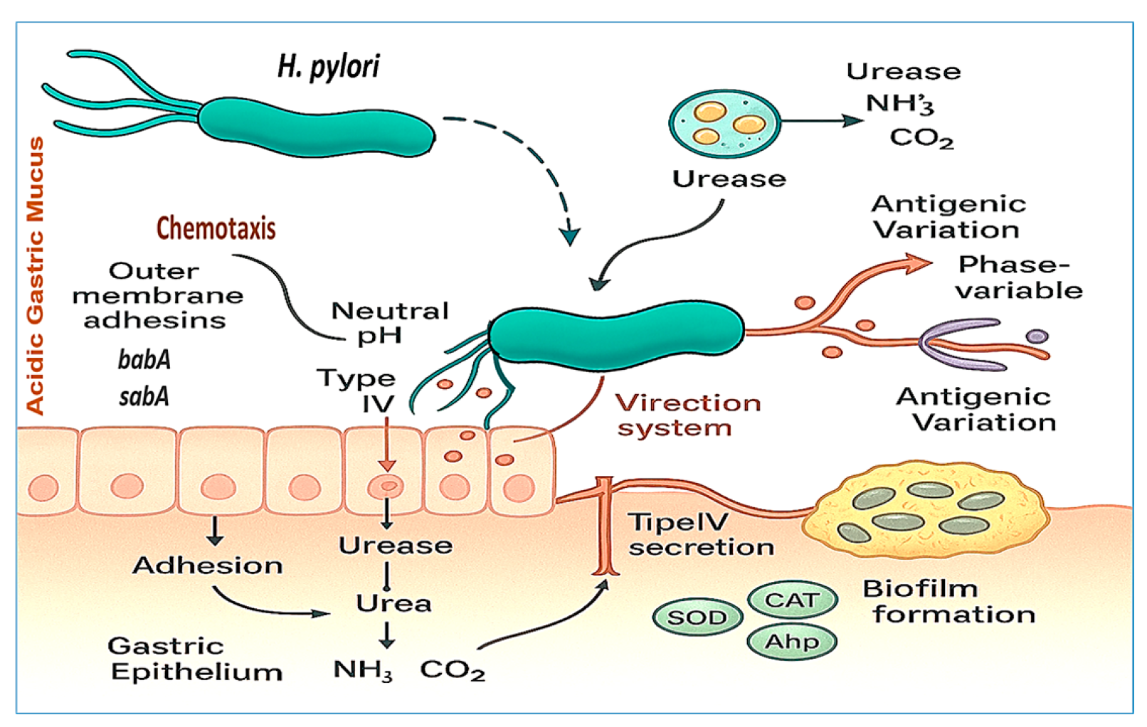 Vaccines 13 00725 g002