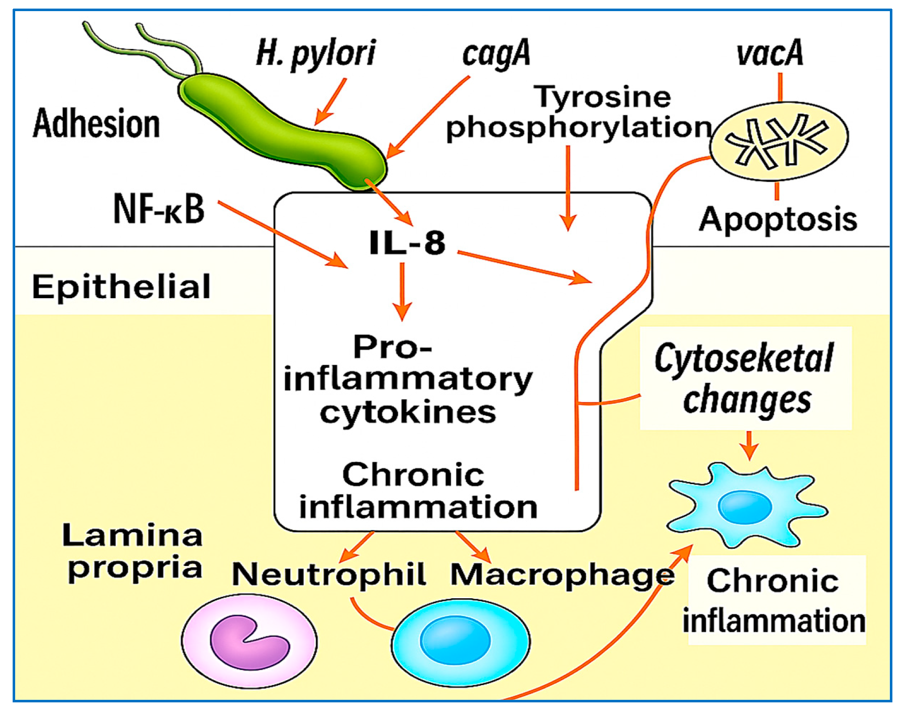 Vaccines 13 00725 g003